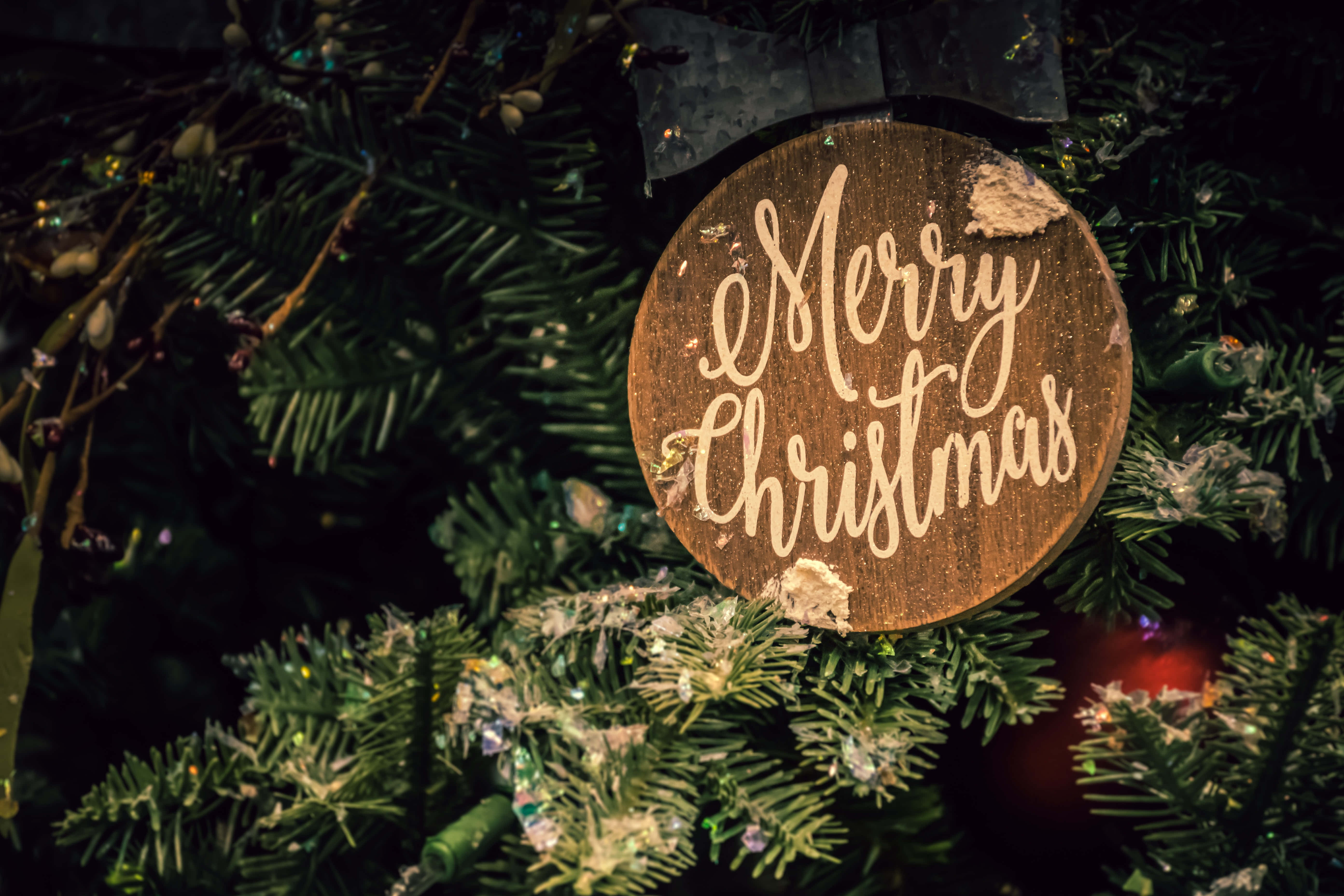 Christmas Eve 桌布 壁紙 — 一個質樸的木製「聖誕快樂」標牌，藏在深綠色松針和閃爍燈光之間。