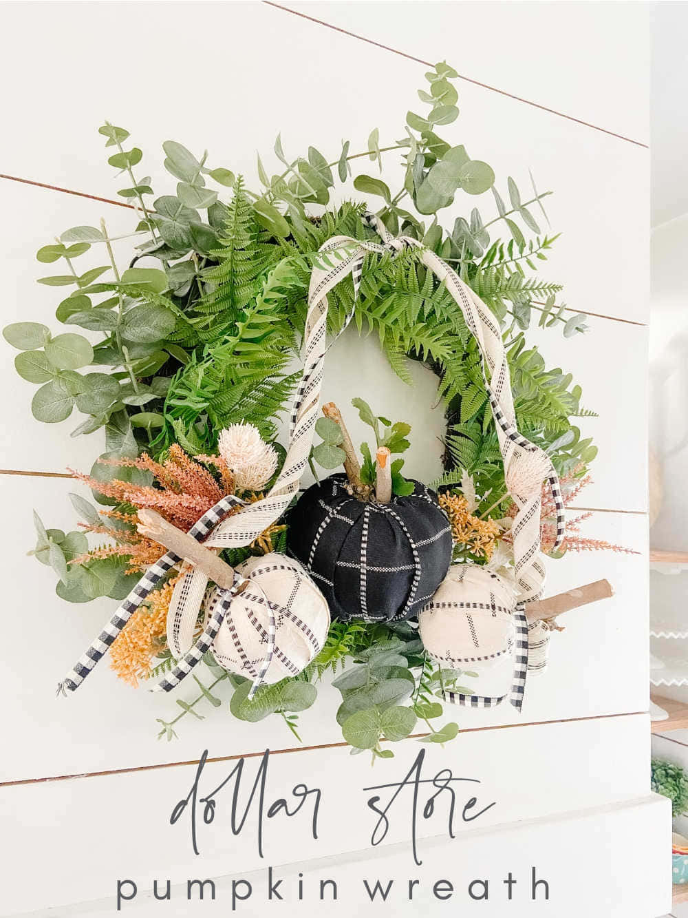 Fall Wreath 桌布 壁紙 — 一個質樸的秋季花環，配有綠色蕨類植物、桉樹、黑白南瓜和格子絲帶，掛在白色的 shiplap 牆上。