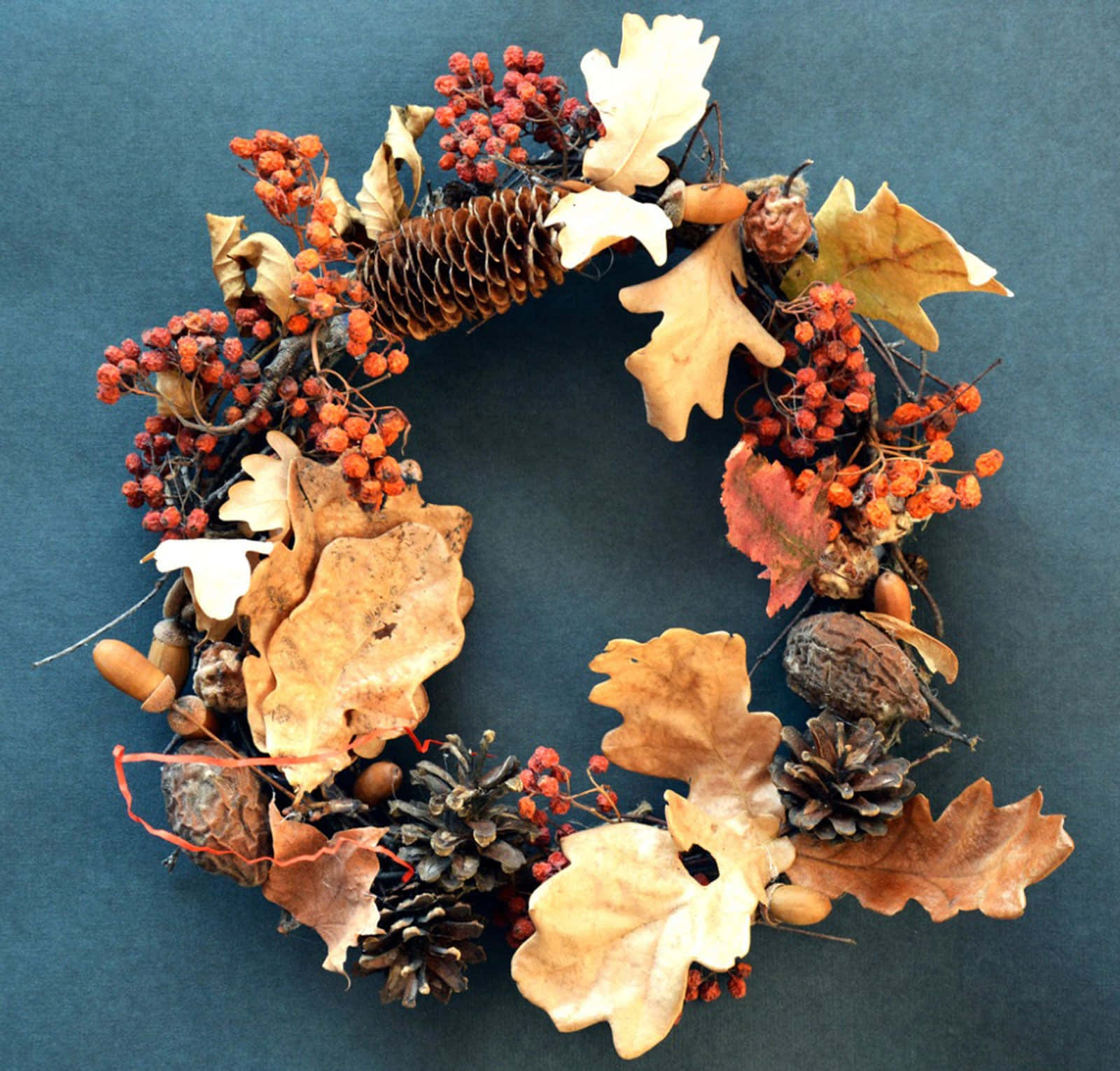 Fall Crafts 桌布 壁紙 — 一個質樸的秋季花環，飾有乾燥的橡樹葉、松果、橡子和一串串紅色漿果，背景為深青色。