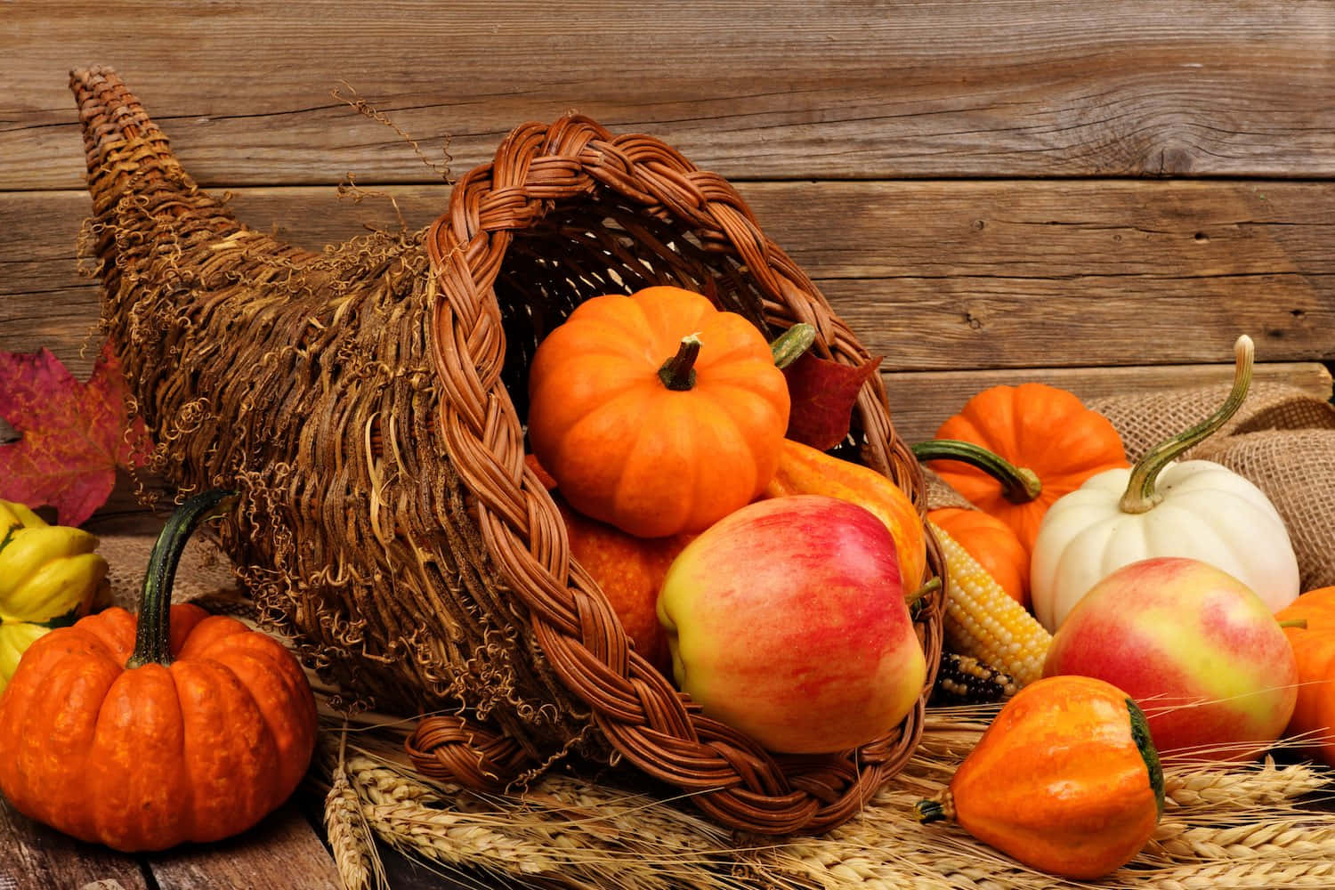 Fall Cornucopia 桌布 壁紙 — 一個質樸的豐收角，裝滿了南瓜、蘋果和玉米，放在風化的木質表面上。