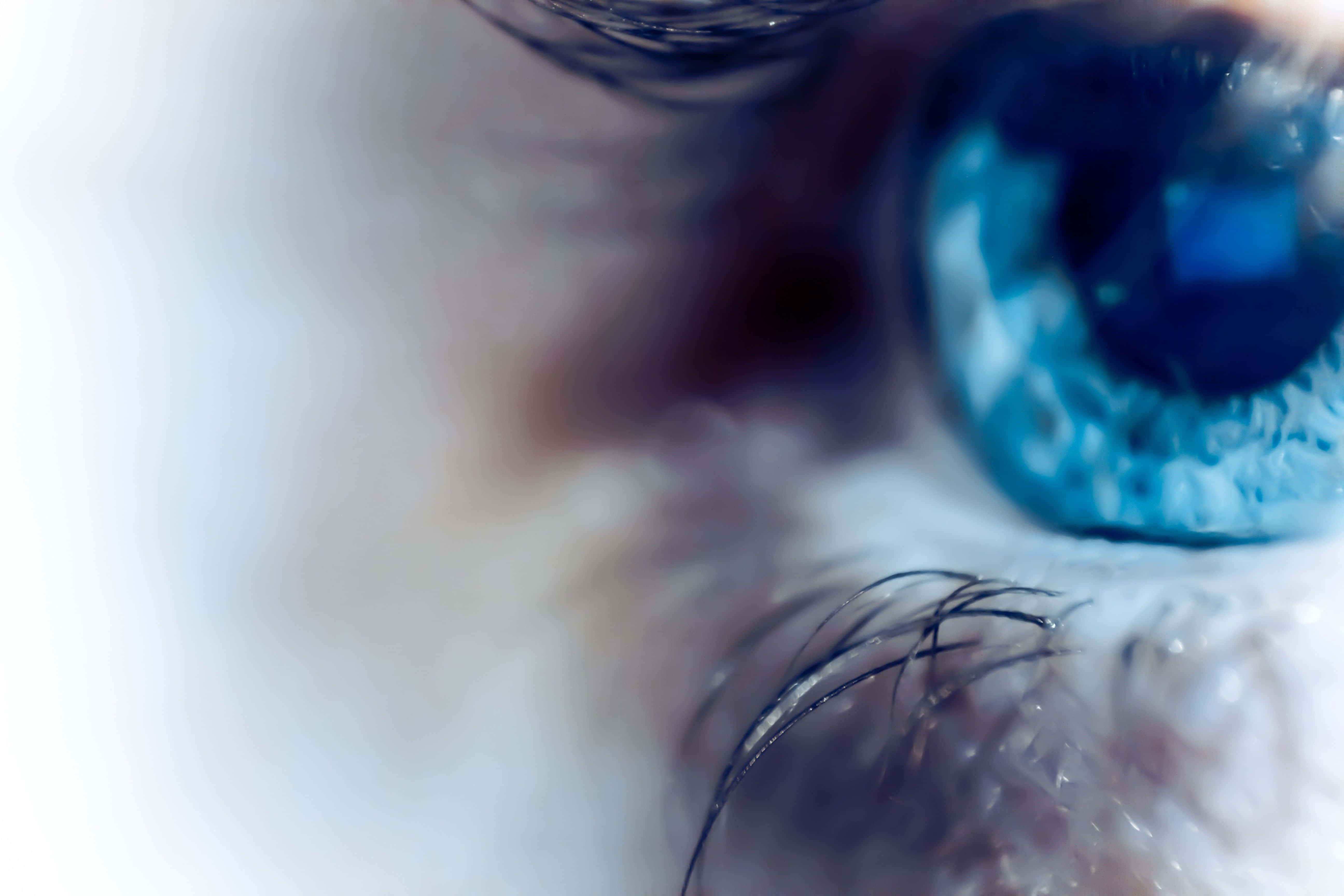 Eyes 桌布 壁紙 — 一個超詳細的特寫，展示一隻鮮藍色的人類眼睛，帶有銳利的睫毛和柔和模糊的膚色。