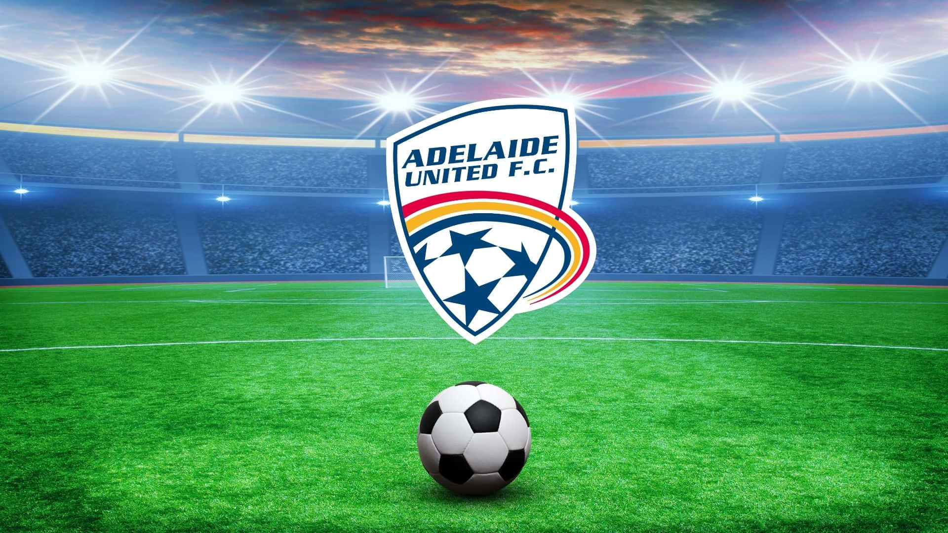 Adelaide United 桌布 壁紙 — 一個足球放在充滿活力的綠色球場上，球場燈光下，阿德萊德聯足球會標誌懸浮在上方。