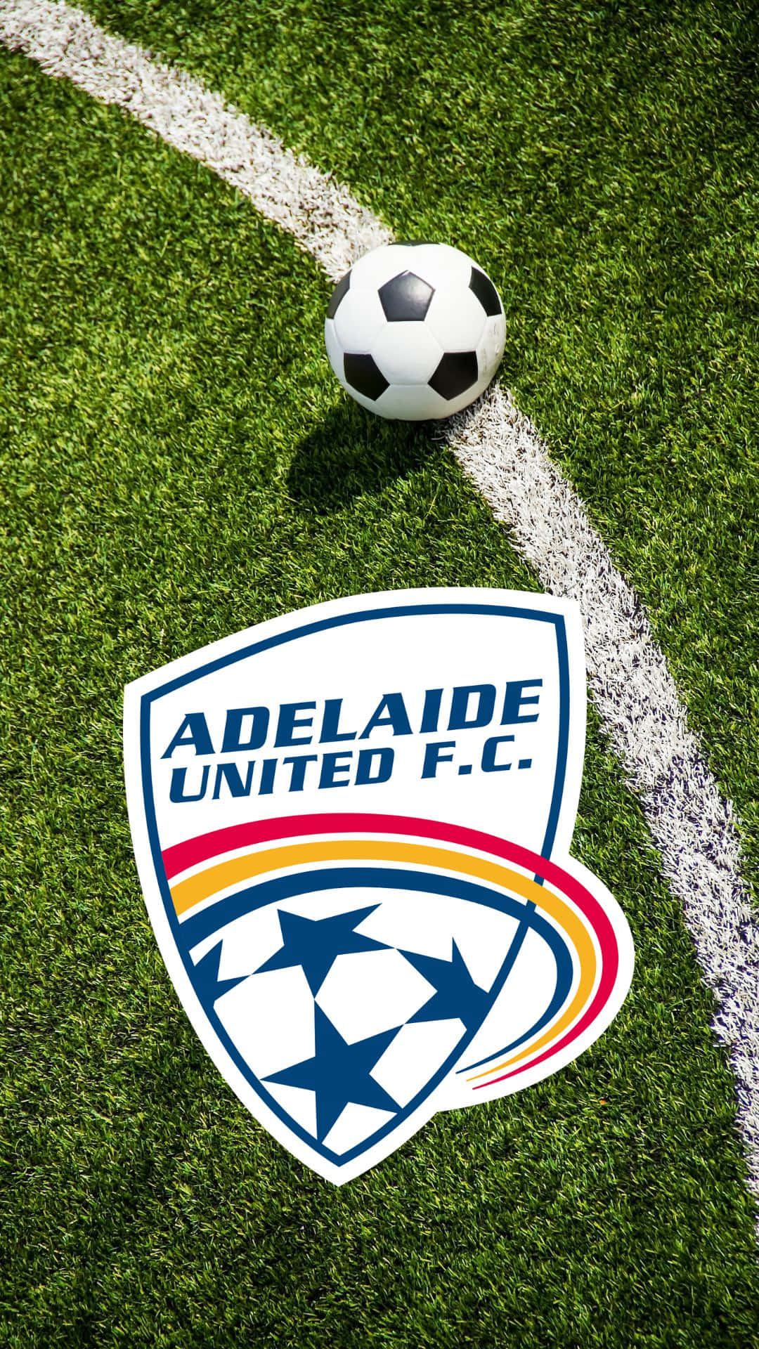 Adelaide United 桌布 壁紙 — 一個足球放在充滿活力的綠色草地上，旁邊有阿德萊德聯足球會的會徽和白色邊界線。