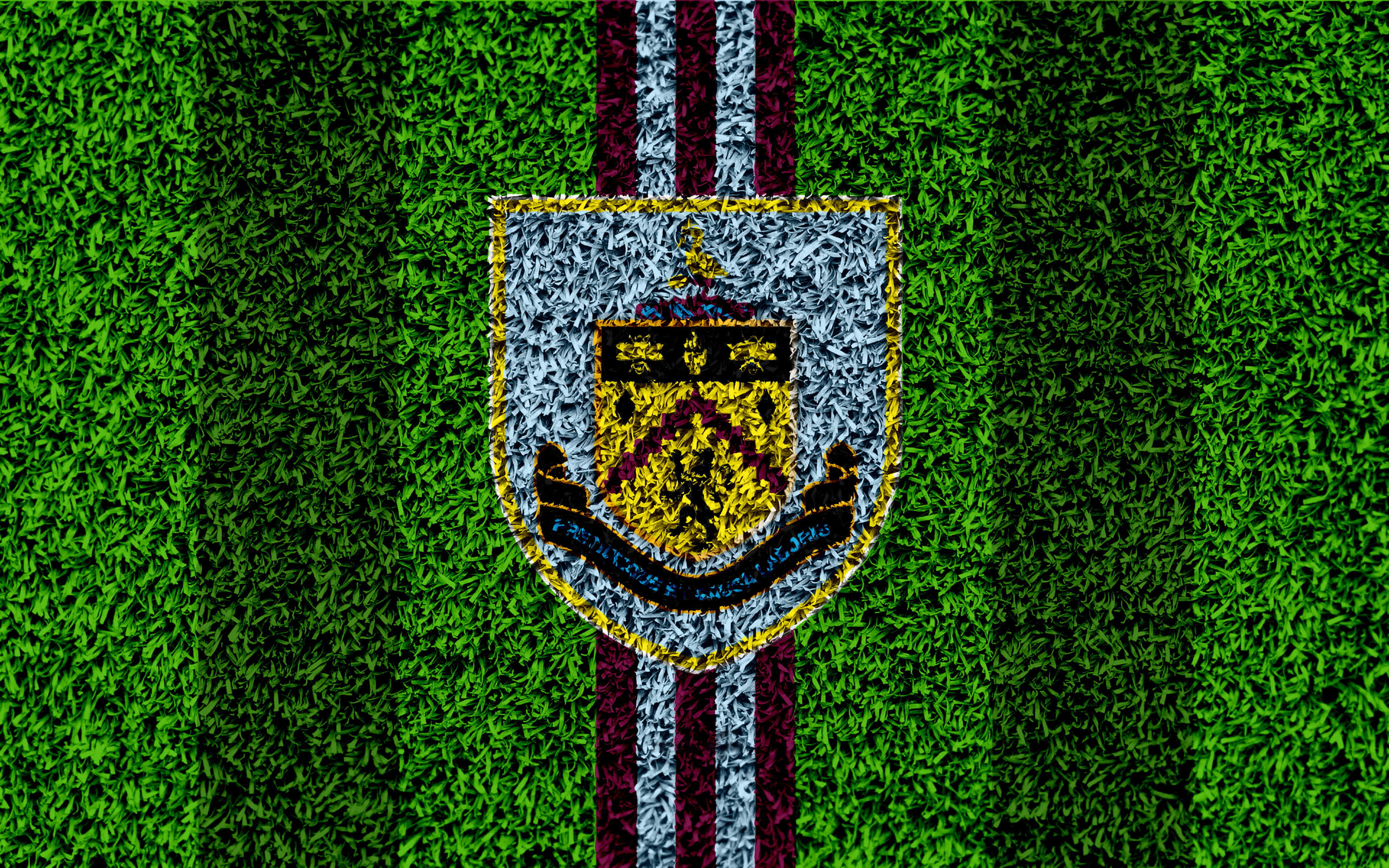 Burnley Fc 桌布 壁紙 — 一個足球會徽章以栗色和白色條紋刺繡在充滿活力的綠色草地上。