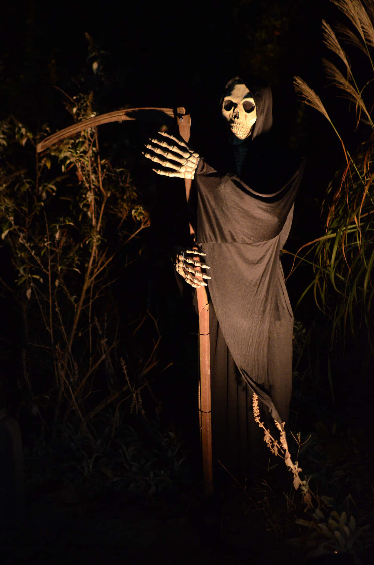 死神 桌布 壁紙 — 一個身穿深色長袍的骷髏死神像，在夜間燈光下於高草叢中手持鐮刀。