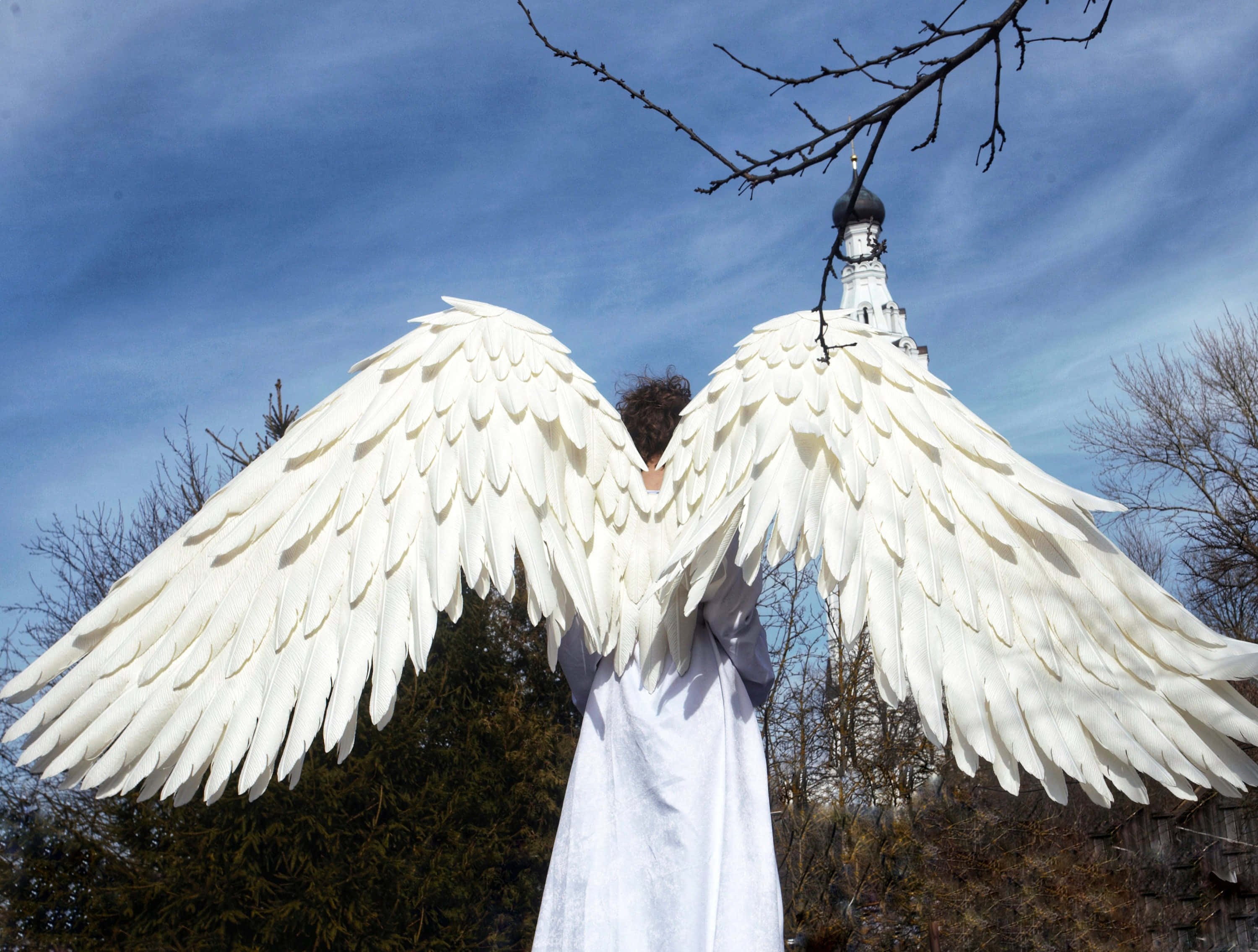 Wings 桌布 壁紙 — 一個身穿白色長袍、擁有大型白色羽毛翅膀的人背對鏡頭，站在藍天下，背景有光禿的樹木和教堂圓頂。