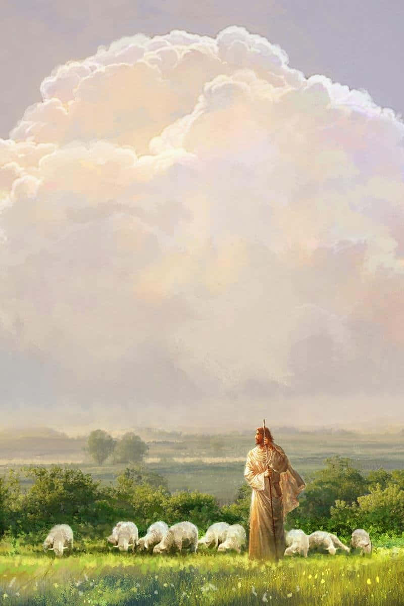 Jesus With Sheep 桌布 壁紙 — 一個身穿飄逸長袍的寧靜人物，站在正在吃草的羊群旁邊，背景是廣闊柔軟、佈滿雲朵的天空。
