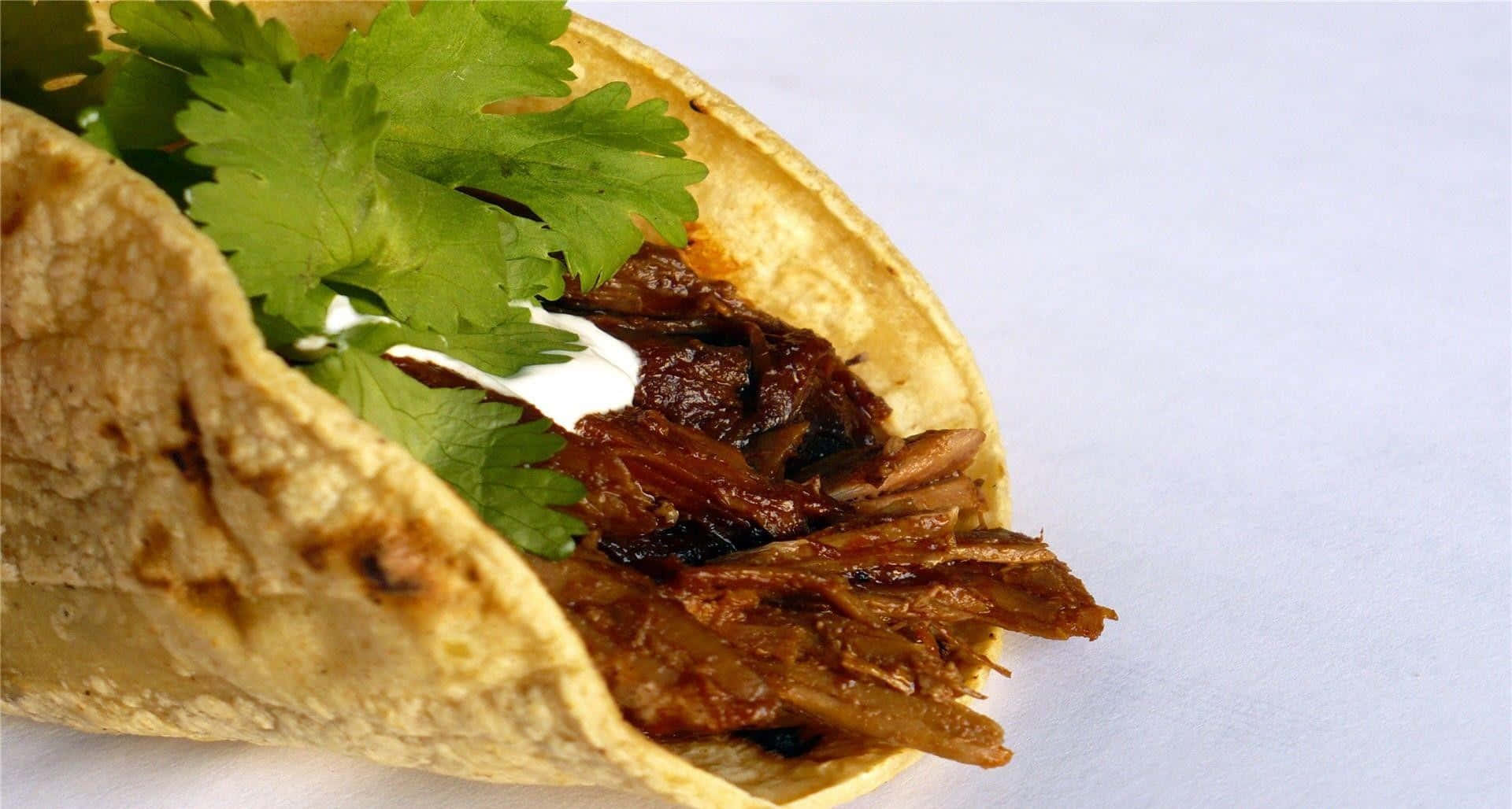 Taco 桌布 壁紙 — 一個軟玉米餅墨西哥捲的 close-up，裡面裝滿了撕碎的肉、酸奶油和新鮮芫荽，放在純白色背景上。