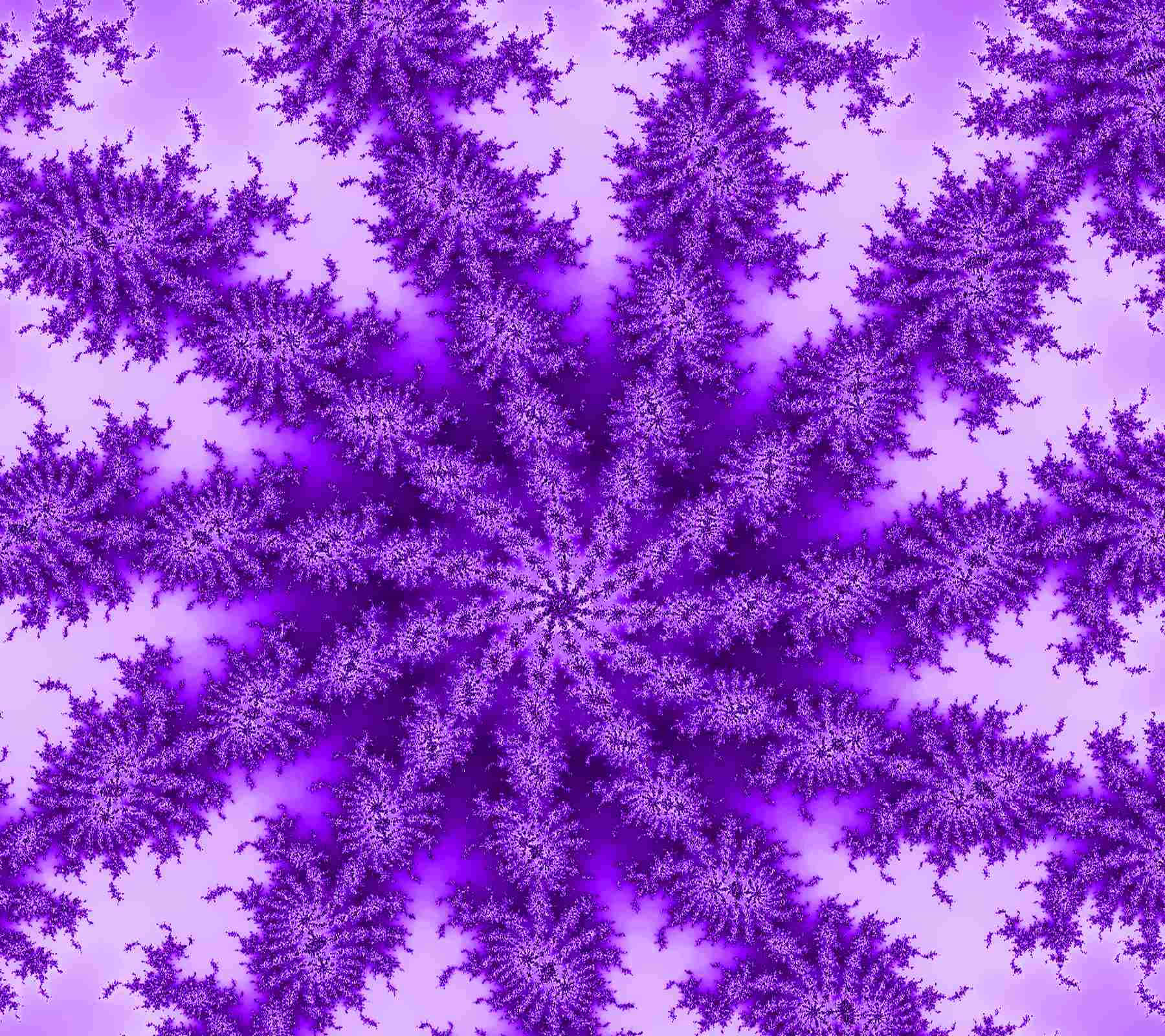 Purple Dye 桌布 壁紙 — 一個迷人的紫色分形圖案，在柔和的薰衣草背景上以對稱的星爆設計向外輻射。