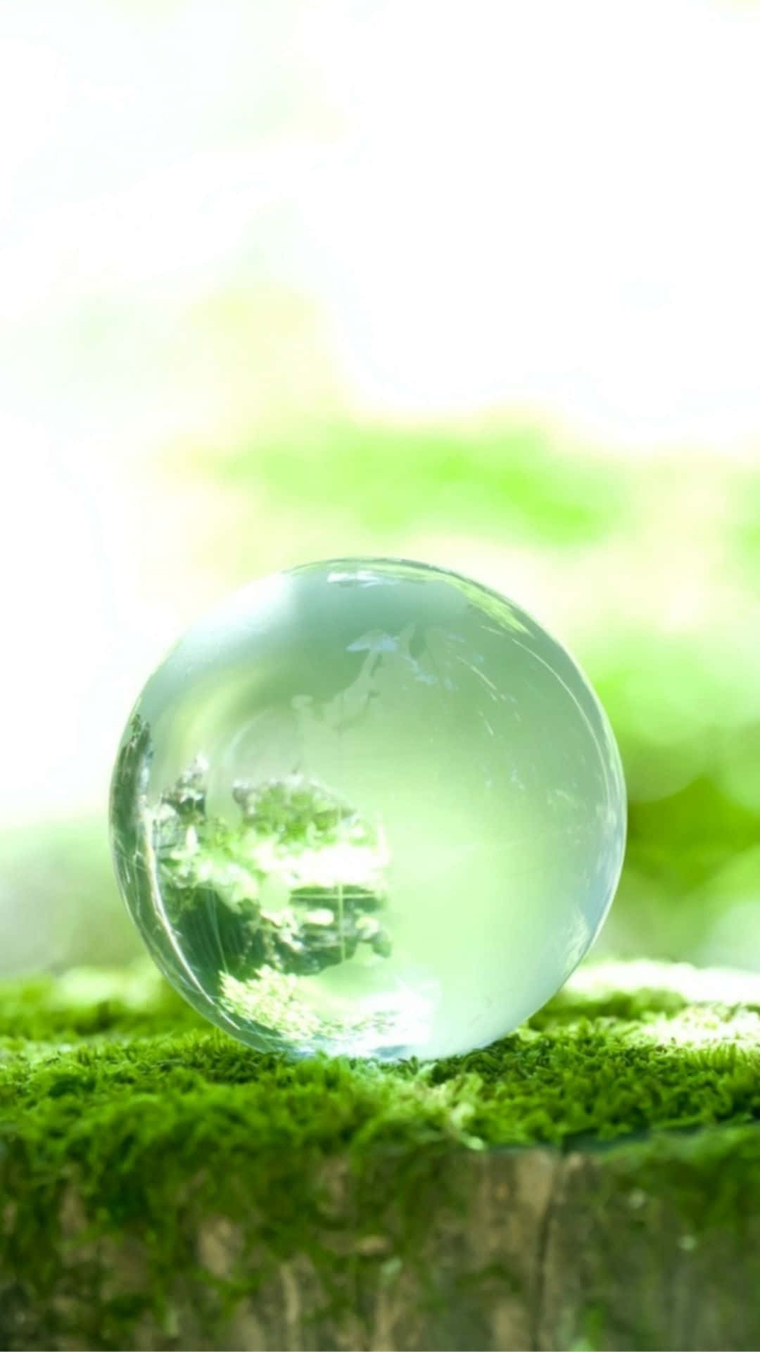 Crystal Ball 桌布 壁紙 — 一個透明玻璃球放在充滿活力的綠色苔蘚上，反射出明亮模糊的森林場景。