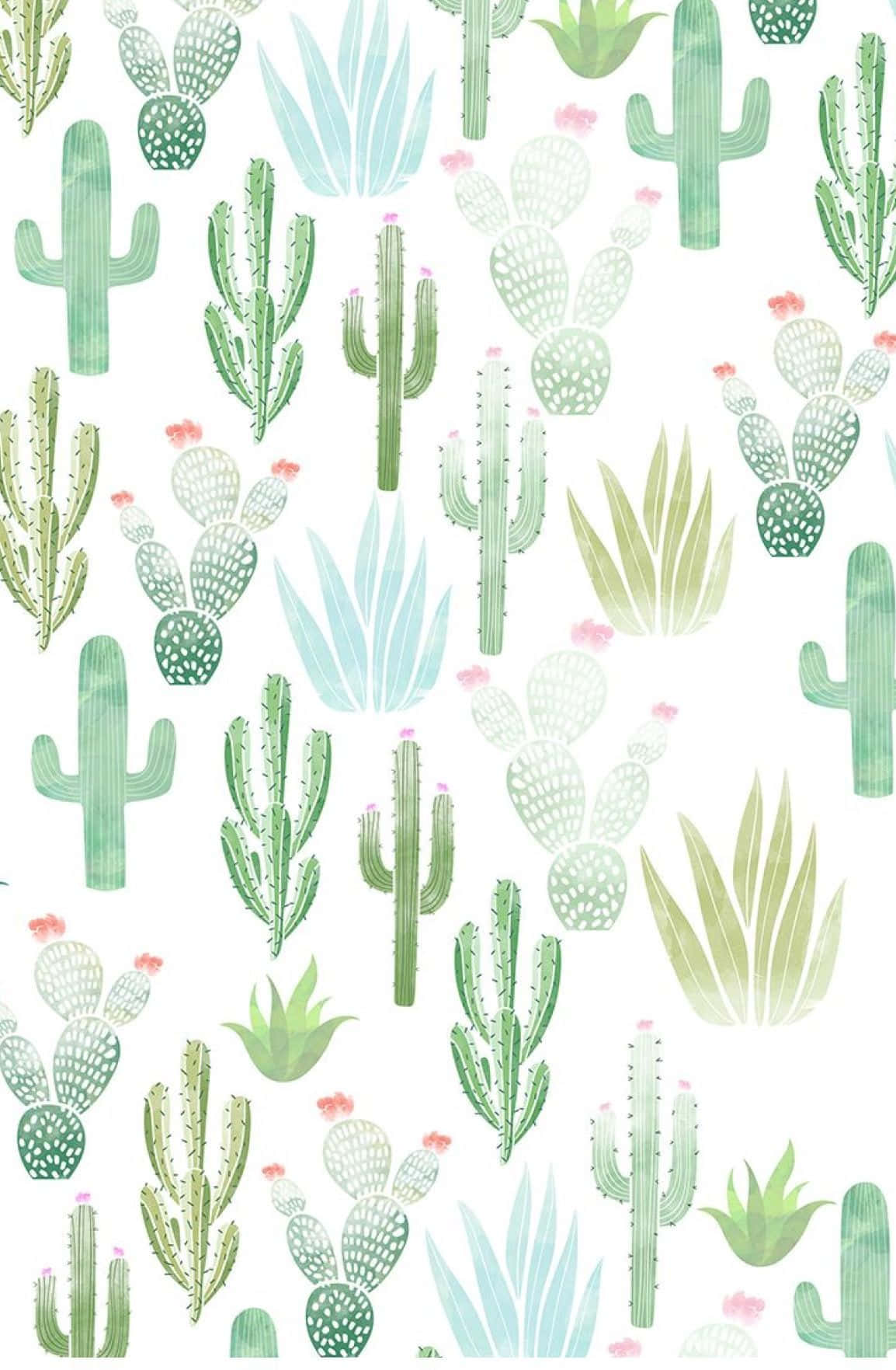 Kawaii Cactus 桌布 壁紙 — 一個重複的圖案，以柔和的綠色和藍色調的風格化仙人掌和多肉植物為特色，白色背景上點綴著細小的粉紅色花朵。