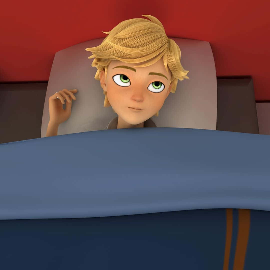 Adrien Agreste 桌布 壁紙 — 一個金髮碧眼的小男孩在舒適的床上，從紅色天花板下，越過藍色毯子偷看。