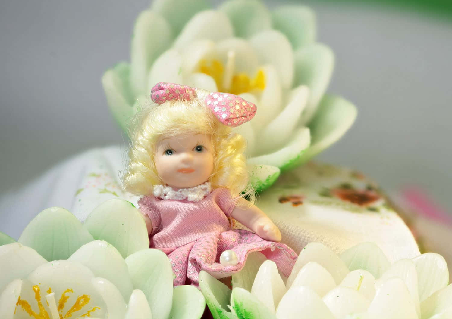 Dolls 桌布 壁紙 — 一個金髮粉紅蝴蝶結的小洋娃娃，依偎在帶有黃色花心的柔軟白花叢中。