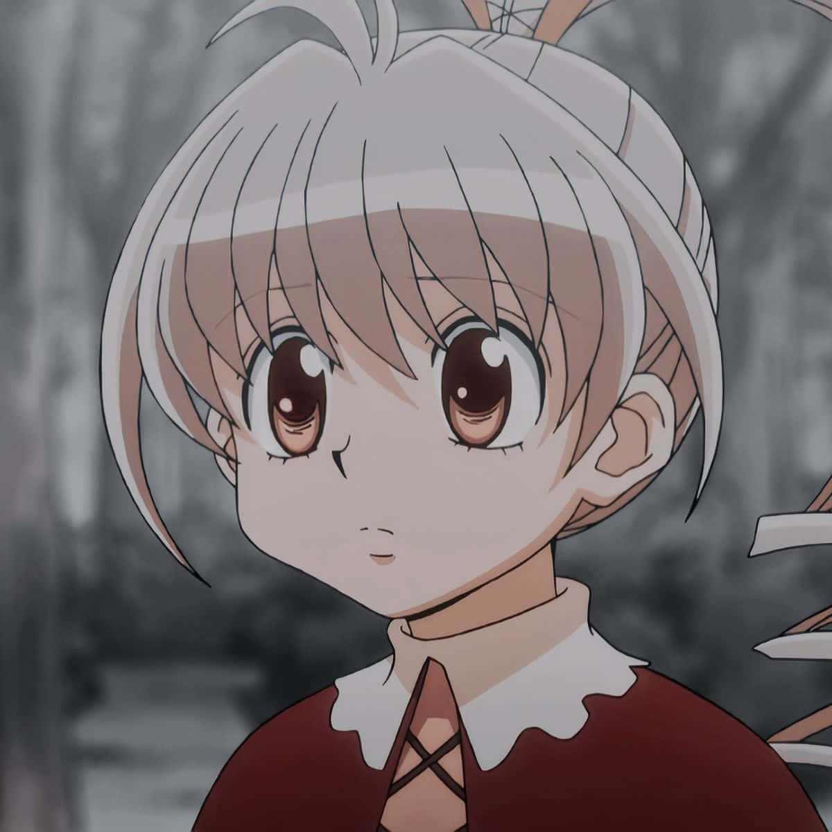 Biscuit Krueger 桌布 壁紙 — 一個銀髮棕眼嘅動漫女仔嘅特寫，著住紅色連身裙配白色領。