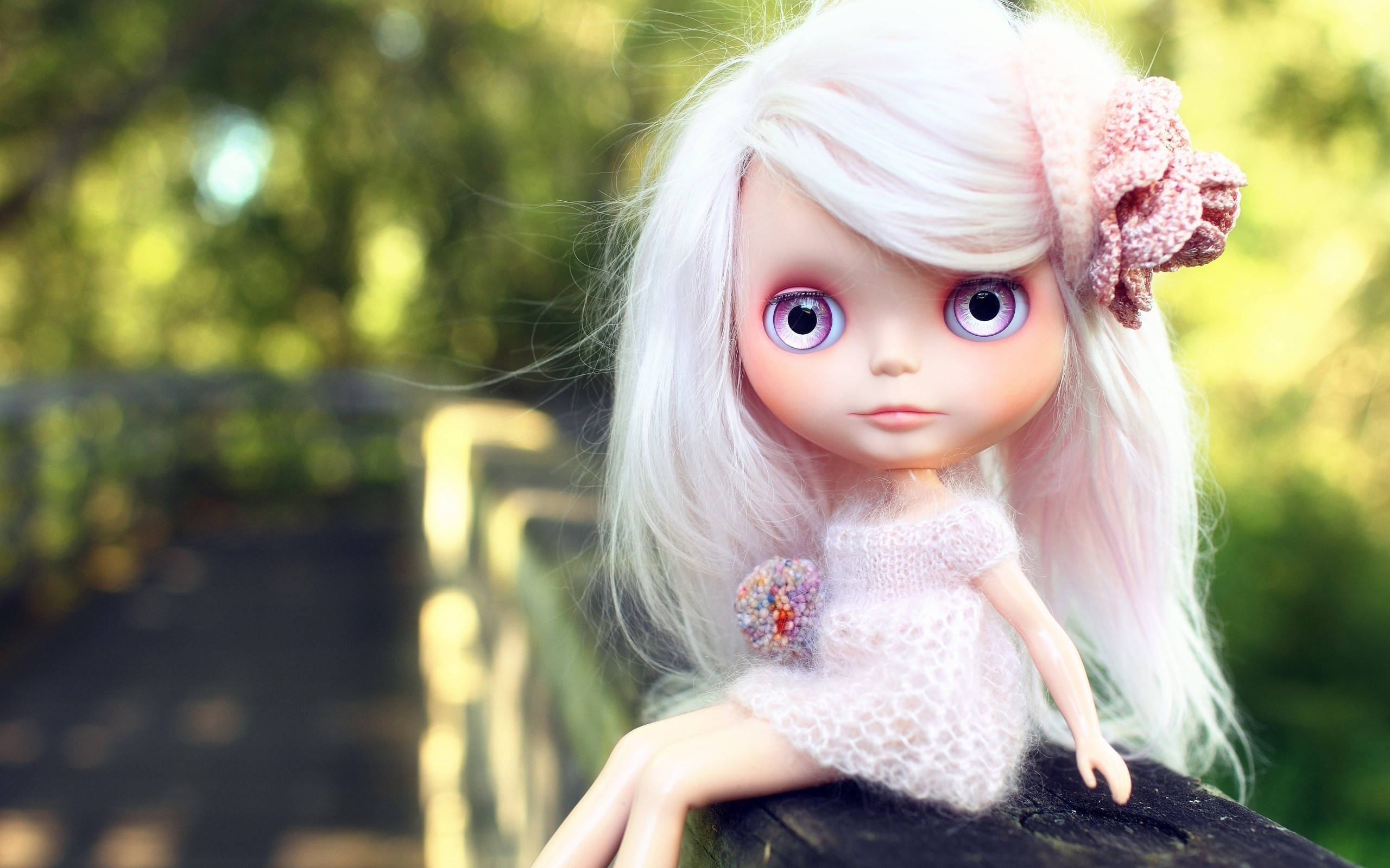 Doll 桌布 壁紙 — 一個長白髮紫眼嘅公仔坐喺一個陽光普照嘅花園嘅木籬笆上，背景係柔和嘅散景效果。