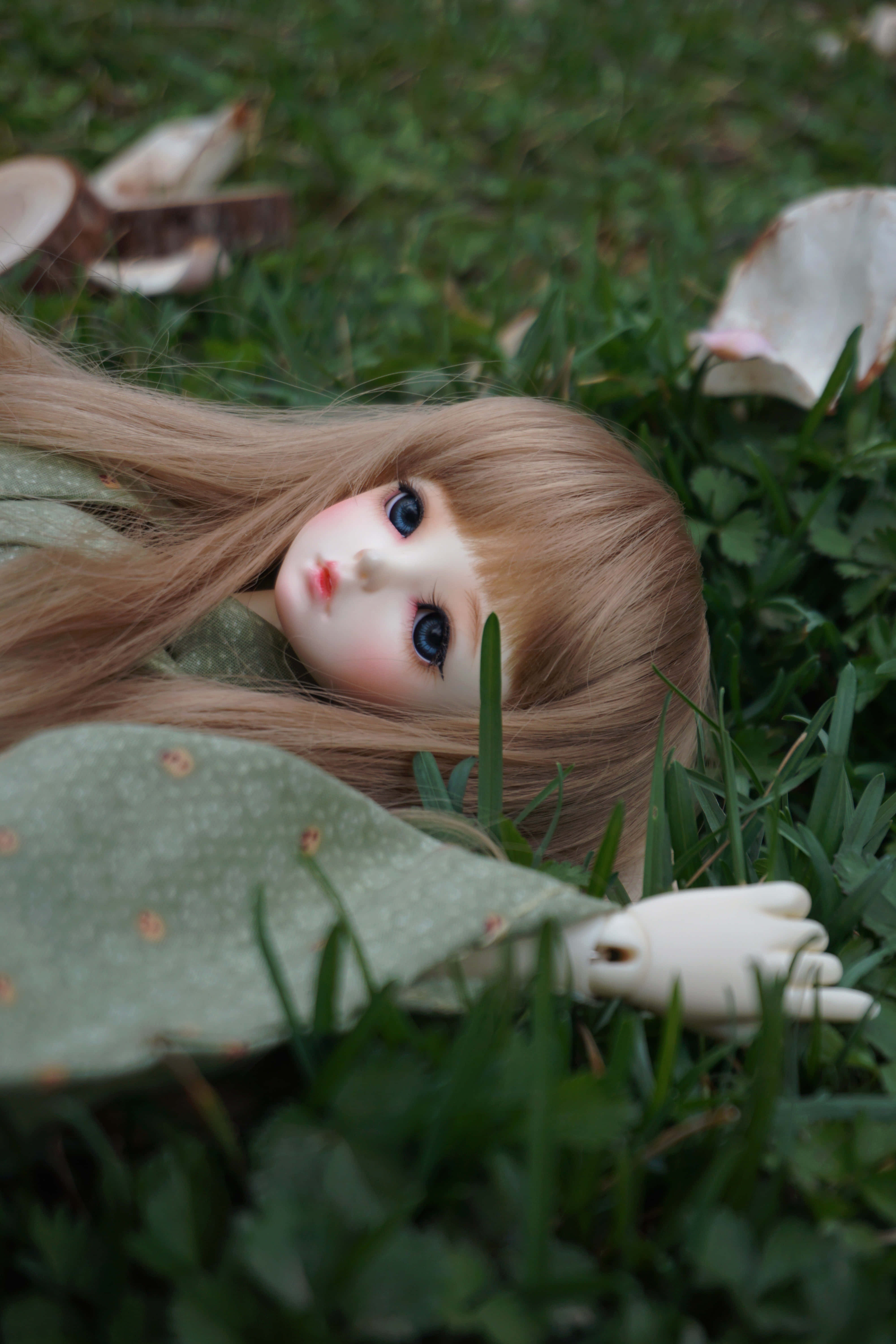 Dolls 桌布 壁紙 — 一個長長金髮藍眼嘅公仔，安詳噉躺喺綠色草地上，周圍係掉落嘅花瓣。