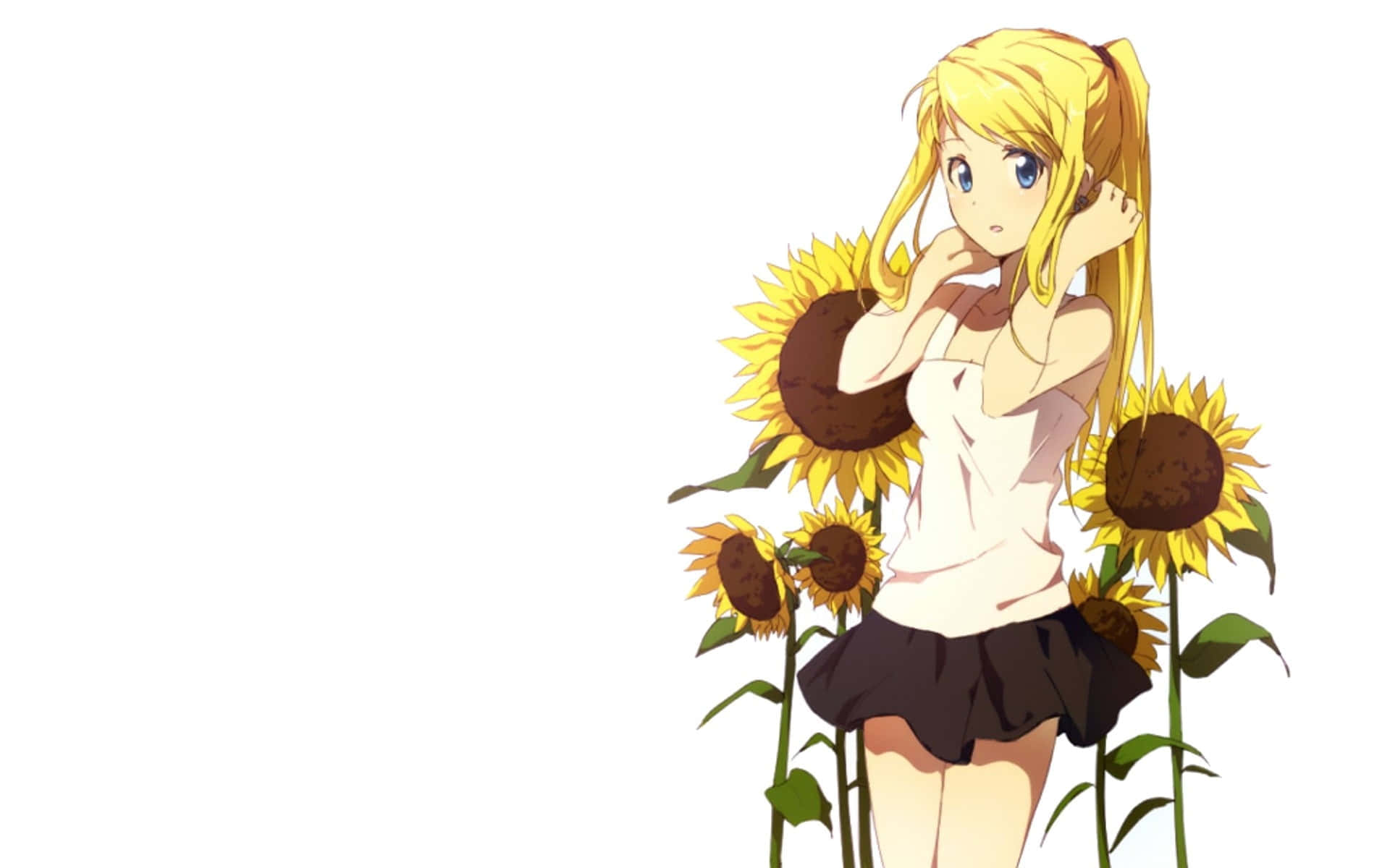 Winry Rockbell 桌布 壁紙 — 一個開心的動漫女孩，金色雙馬尾，站在高高的向日葵中，背景是純白色。