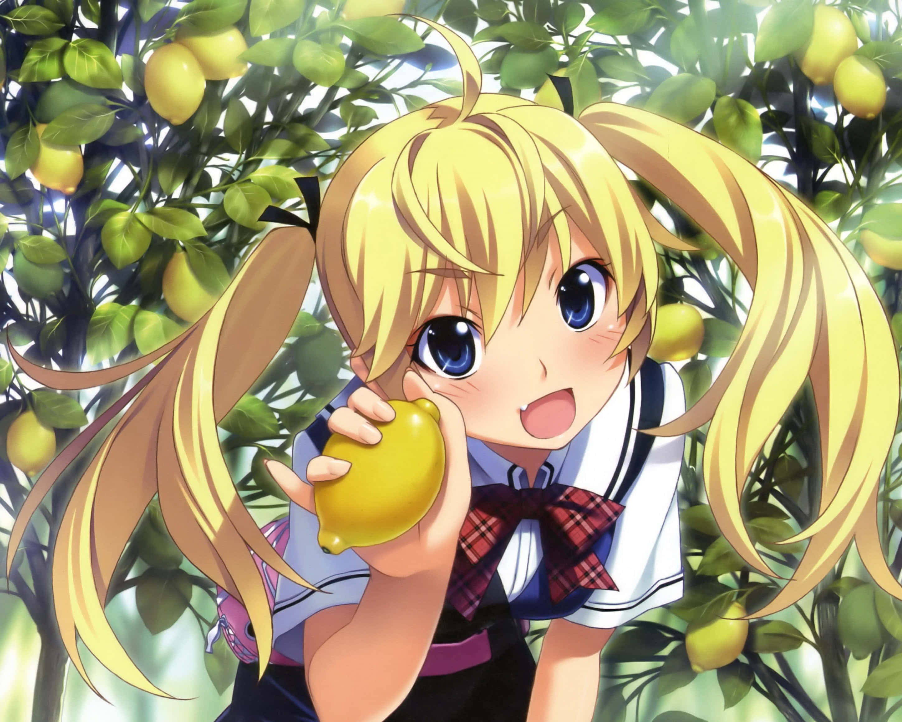 Kawaii Fruit 桌布 壁紙 — 一個開心的動漫女孩，金色雙馬尾，在茂密的柑橘樹中拿著一個檸檬，樹上掛滿了成熟的黃色果實。