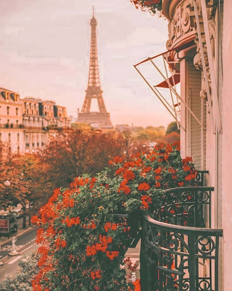 Europe 桌布 壁紙 — 一個開滿紅花的陽台，俯瞰巴黎街道，艾菲爾鐵塔在金色夕陽中閃耀。