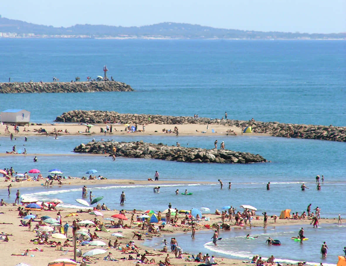 French Beach 桌布 壁紙 — 一個陽光明媚的海灘，人頭湧湧，人們在藍天白雲下游泳、曬太陽和玩耍，還有岩石防波堤。