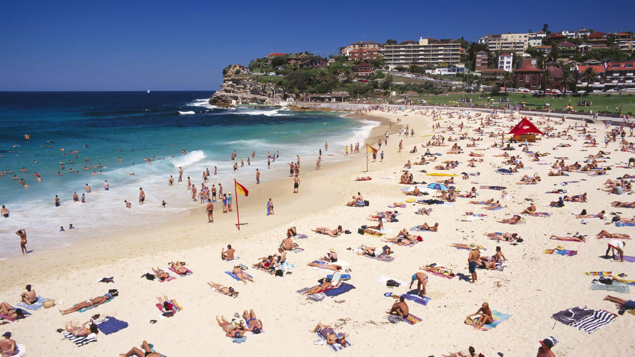 Australia 桌布 壁紙 — 一個陽光燦爛、熱鬧的海灘，擠滿了曬太陽的人和游泳的人，天空清澈湛藍，後方懸崖上矗立著沿海建築。