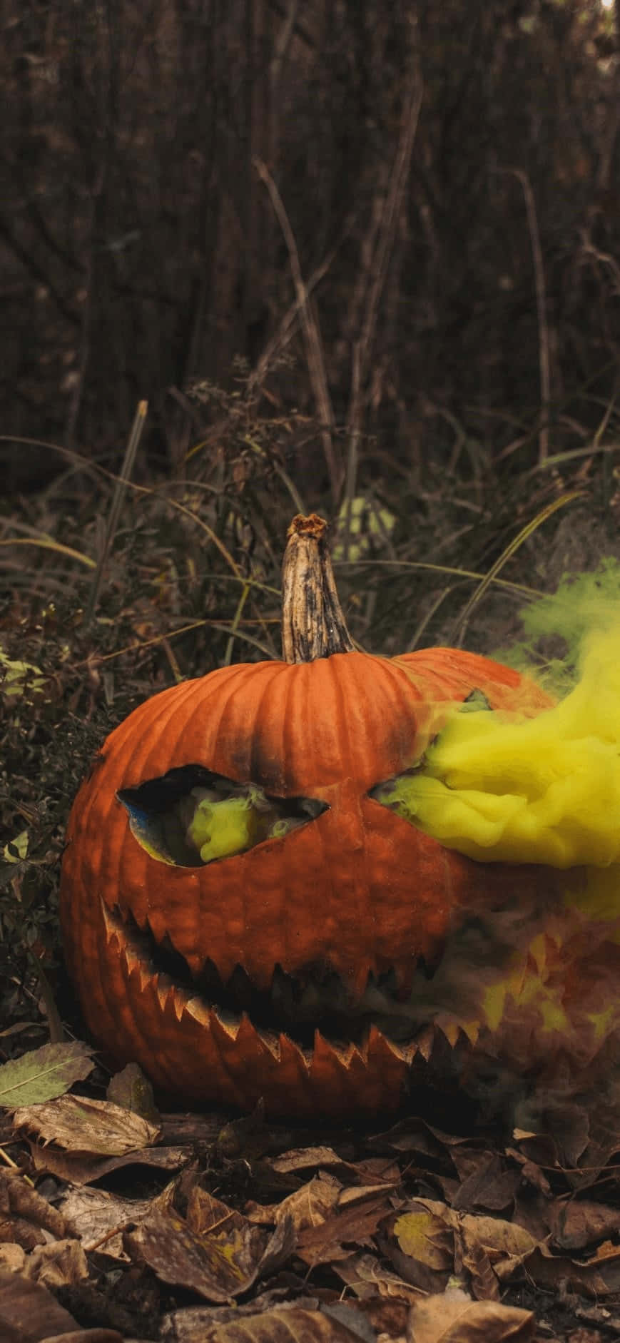 Orange Halloween 桌布 壁紙 — 一個雕刻的橙色南瓜，帶有鋸齒狀的笑容和發光的眼睛，坐在秋天的落葉中，黃色的煙霧從它的嘴裡冒出。