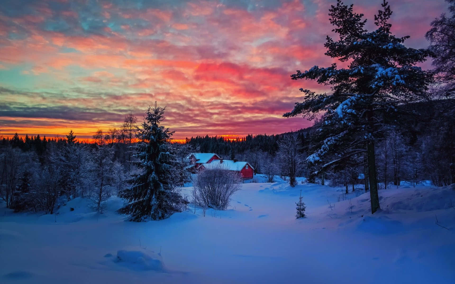 Winter Sunset 桌布 壁紙 — 一個雪白的冬季日落景色，在充滿活力的粉橙色天空下，一間紅色小屋坐落在白雪覆蓋的松樹之間。