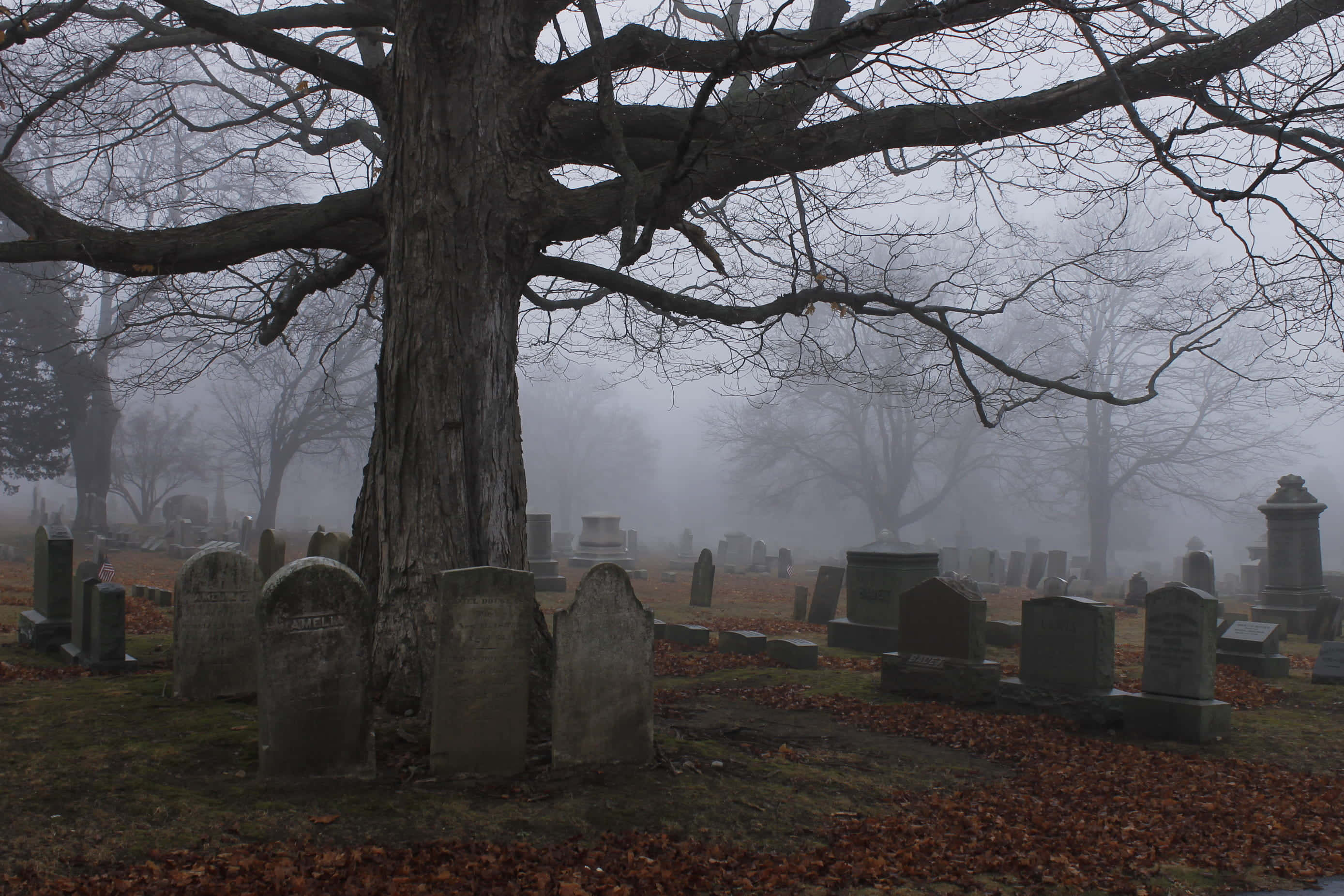 Gravestone 桌布 壁紙 — 一個霧氣瀰漫的墓地，光禿禿的樹枝籠罩在風化的墓碑上，墓碑上鋪滿了秋天的落葉。