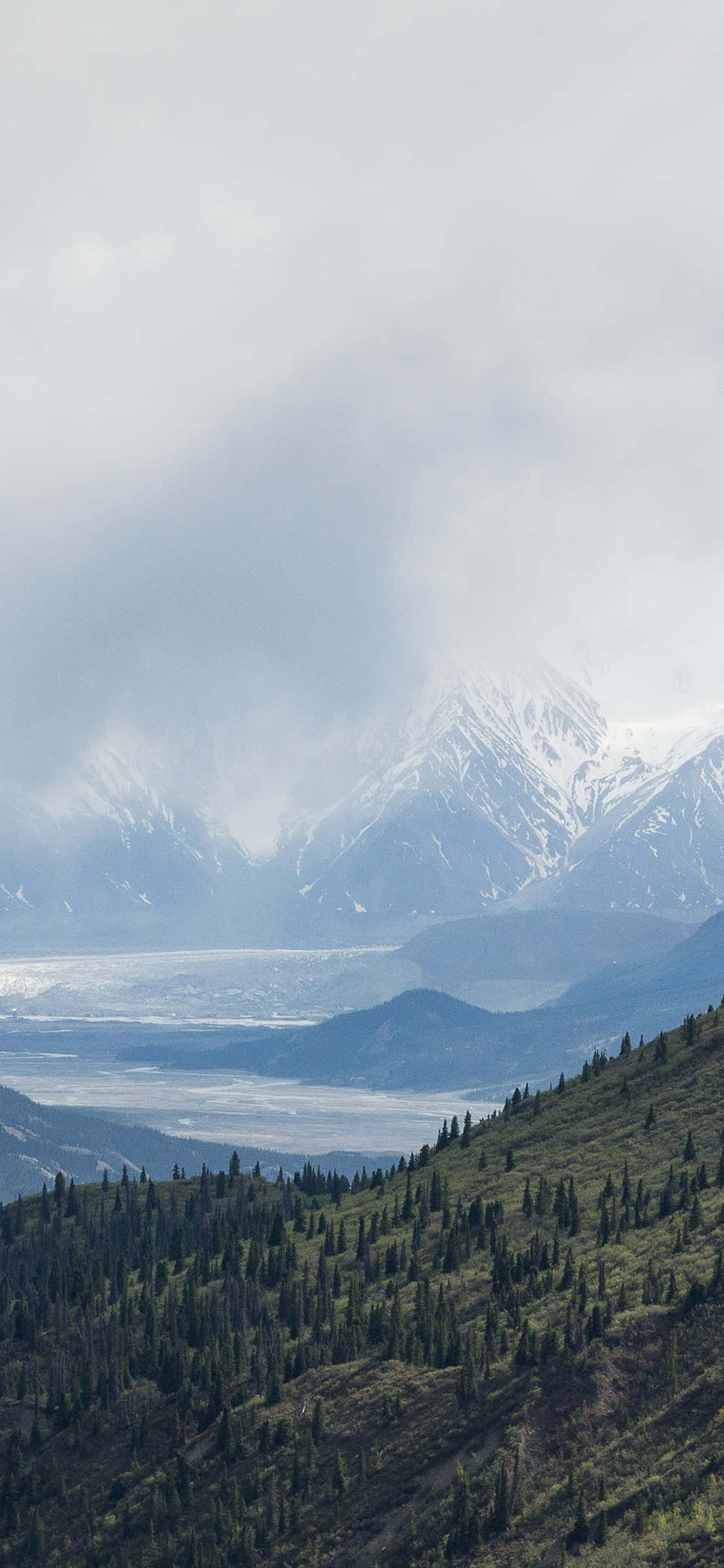 Panorama 桌布 壁紙 — 一個霧氣瀰漫的山谷，在陰天之下，雪峰和冰川坐落於森林覆蓋的山坡之間。