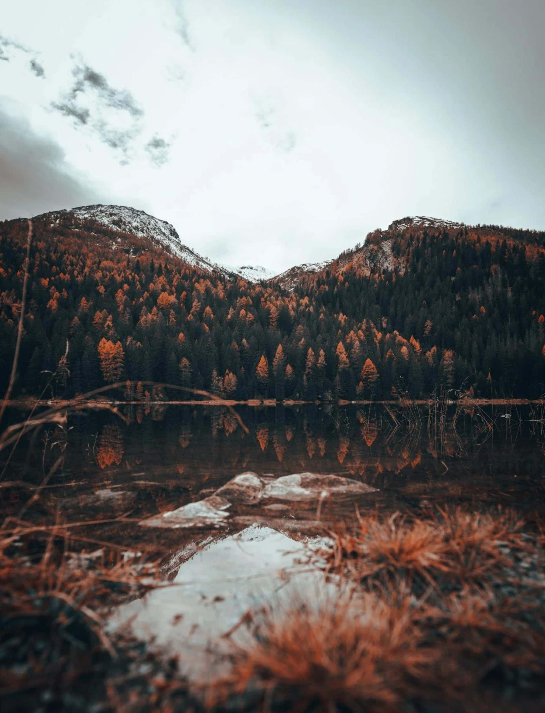 Fall Mountains 桌布 壁紙 — 一個霧氣瀰漫的山間湖泊，在陰天之下映照出秋天的樹木和積雪的山峰。