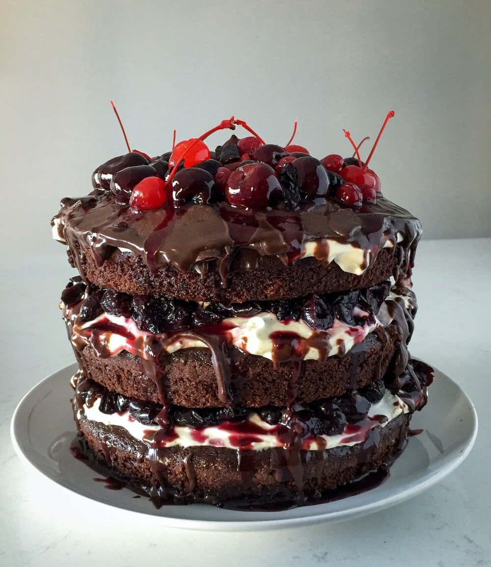 Black Forest Cake 桌布 壁紙 — 一個頹廢的三層朱古力蛋糕，滴著光亮的朱古力醬，上面放著鮮紅色的櫻桃，放在白色碟子上。