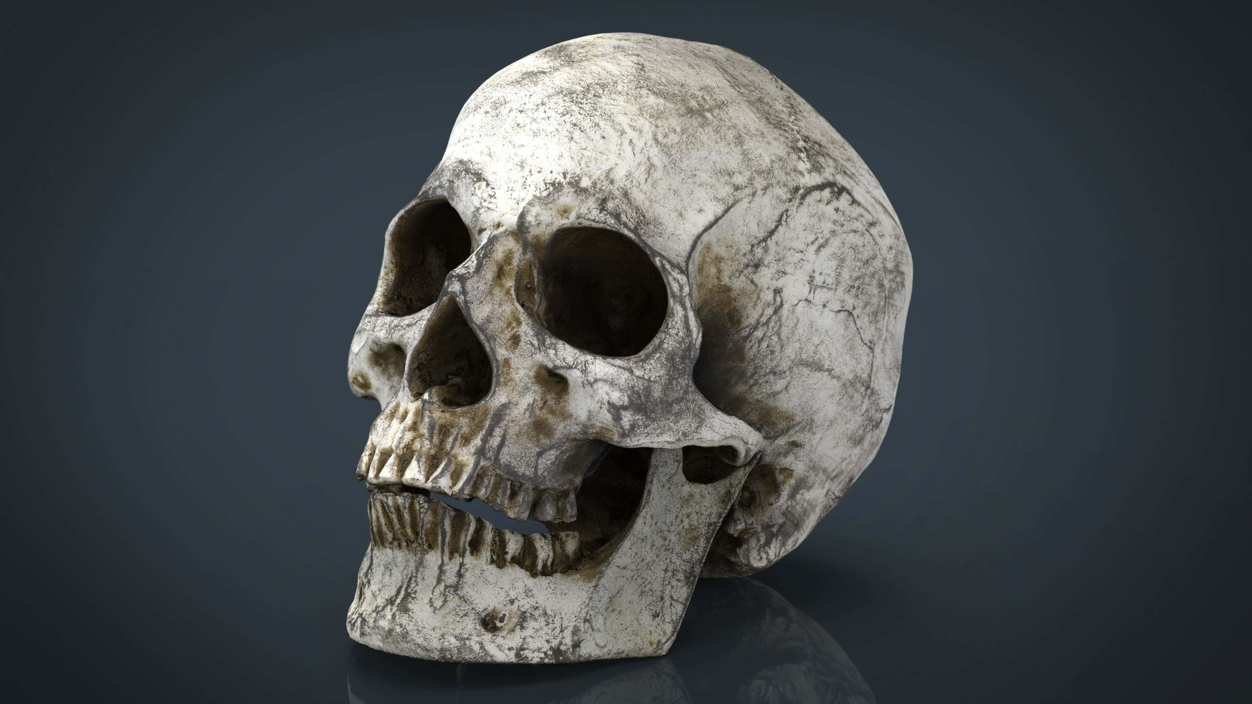 3d Skull 桌布 壁紙 — 一個風化的人類頭骨，骨頭裂開，牙齒有污漬，放在反射表面上，背景是深色漸變。