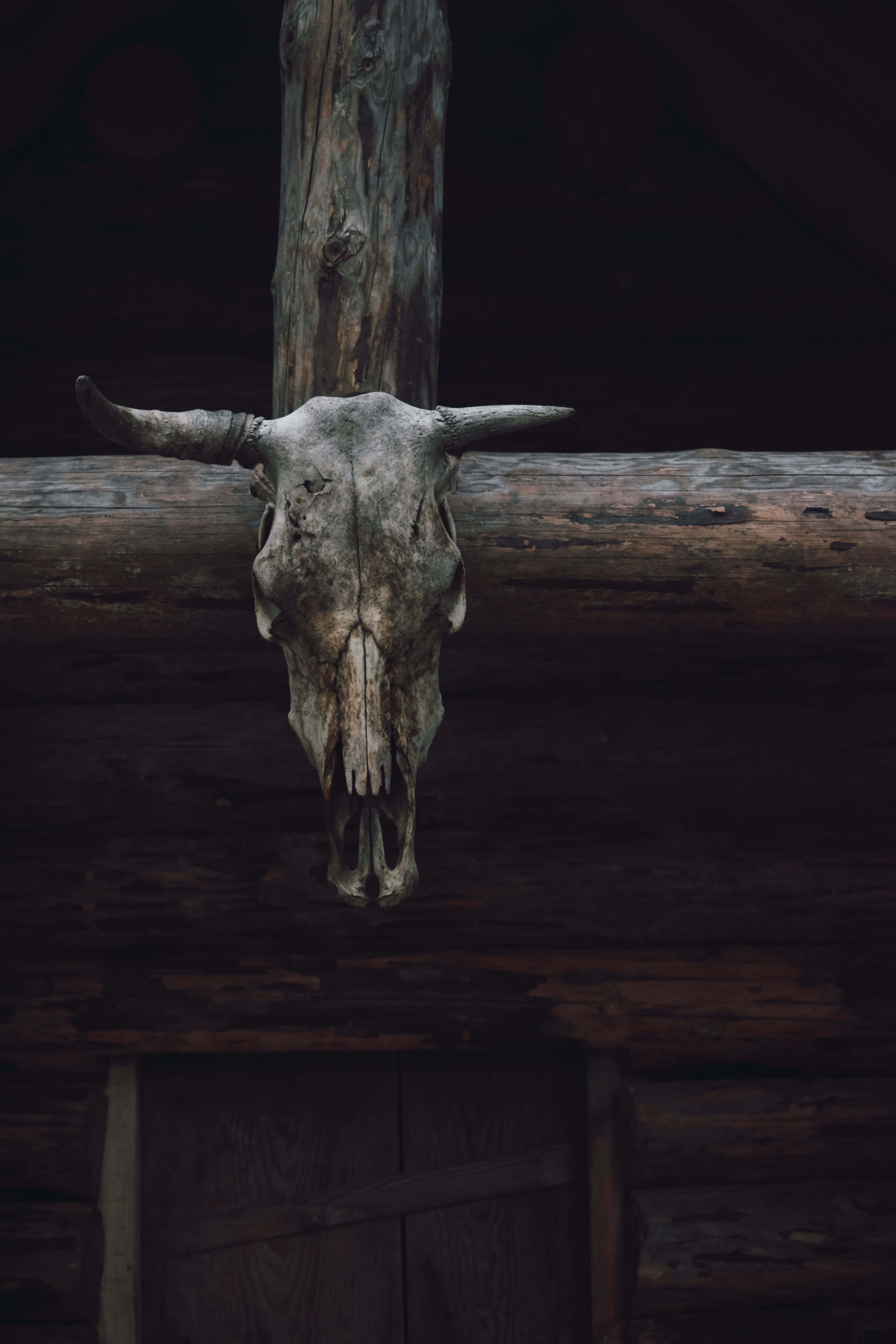 Pagan 桌布 壁紙 — 一個風化的公牛頭骨，帶有彎曲的角，懸掛在昏暗木屋內一條質樸木樑的中心。