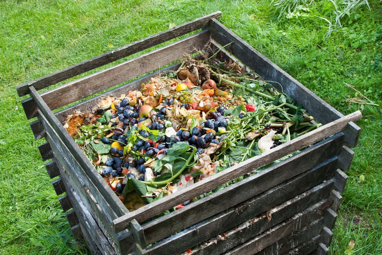 Compost 桌布 壁紙 — 一個風化的木製堆肥箱，裝滿了色彩繽紛的水果殘渣和綠色莖稈，放在茂密的綠色草坪上。
