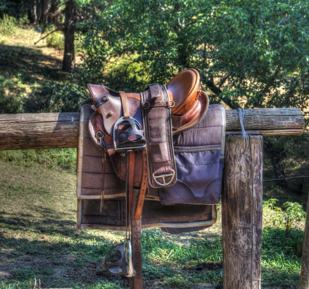 Saddle 桌布 壁紙 — 一個風化的棕色皮革西部馬鞍掛在陽光普照、有樹木的草地上的質樸木柵欄柱上。