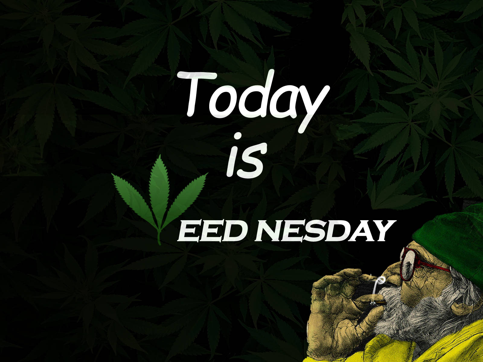 大麻 桌布 壁紙 — 一個風格化的插圖，描繪一個戴著綠色帽子的鬍鬚男人在深色背景的大麻葉前抽煙斗，並有粗體白色文字寫著「Today is EED NESDAY」。