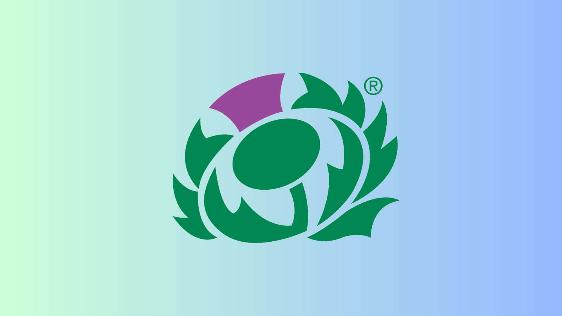 Scotland Rugby 桌布 壁紙 — 一個風格化的綠色薊花標誌，紫色花瓣居中，置於柔和漸變背景上。