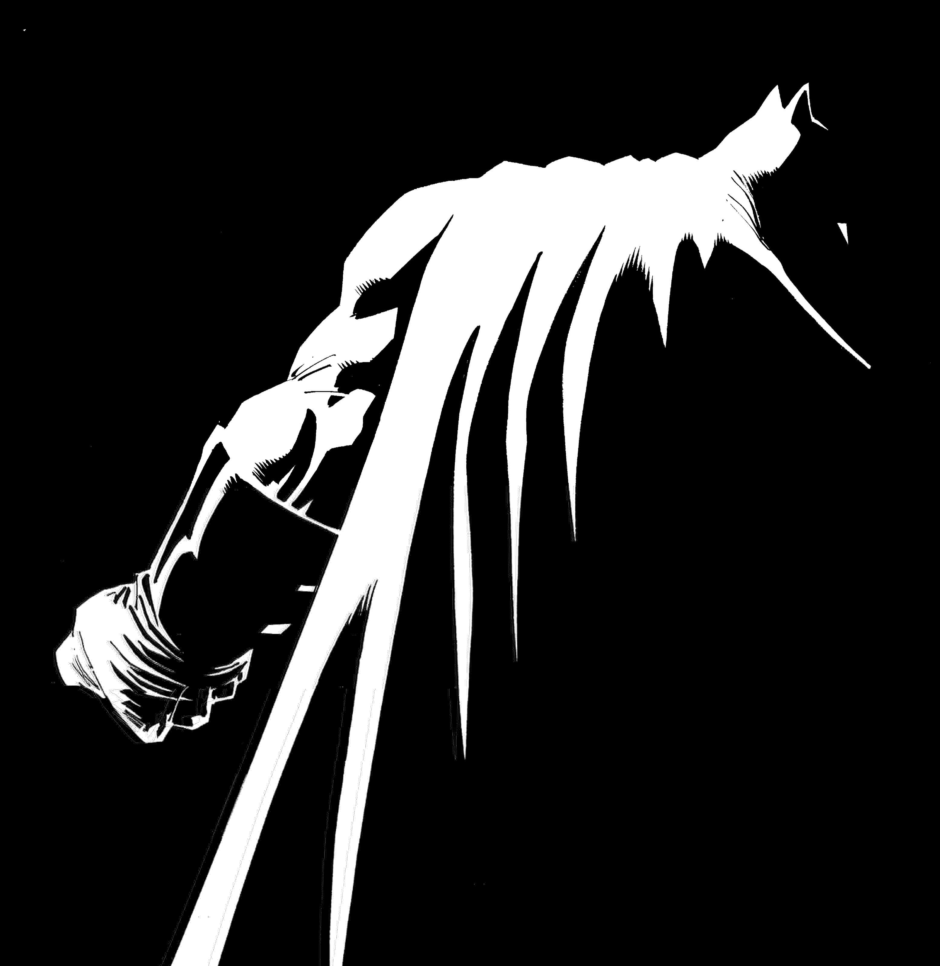 Batman The Dark Knight Returns 桌布 壁紙 — 一個馬頭帶有飄逸鬃毛的鮮明白色剪影，背景為黑色。