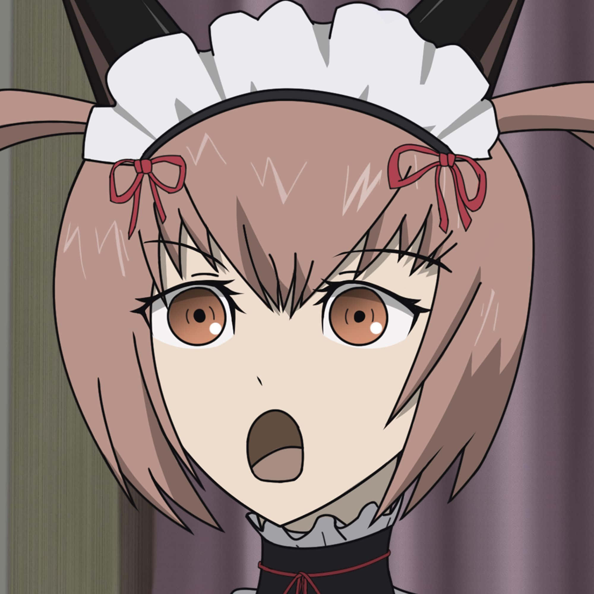Rumiho Akiha 桌布 壁紙 — 一個驚訝的動漫女孩，棕色頭髮和貓耳朵，穿著女僕裝，睜大眼睛，張開嘴巴。