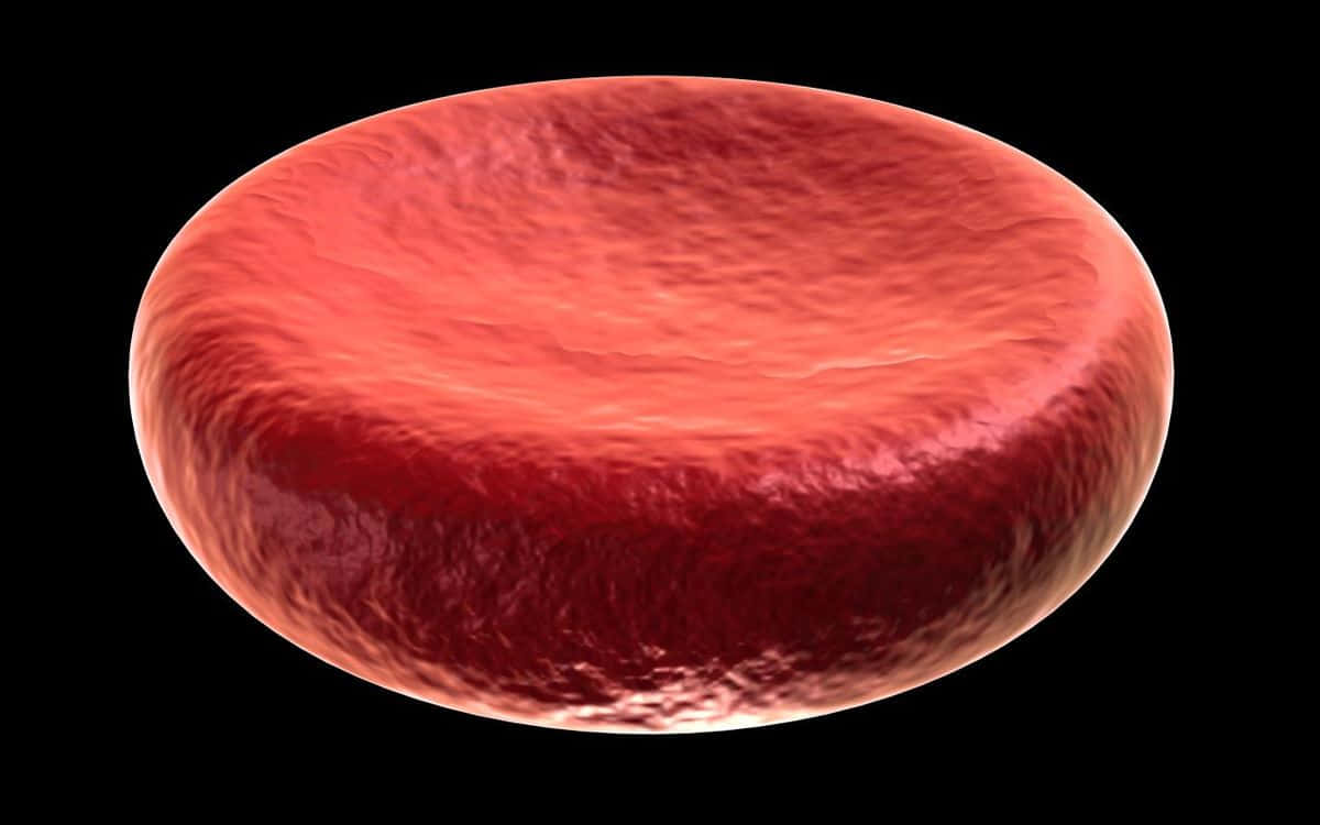 Red Blood Cells 桌布 壁紙 — 一個高度詳細的單個紅血球3D渲染，具有紋理表面和漸變紅色色調，背景為黑色。