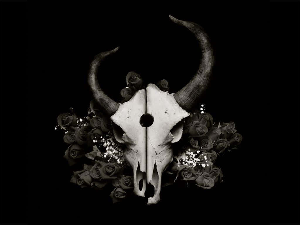Demon Hunting 桌布 壁紙 — 一個鮮明的黑白公牛頭骨，帶有彎曲的角，被玫瑰和滿天星環繞，背景是虛空黑色。