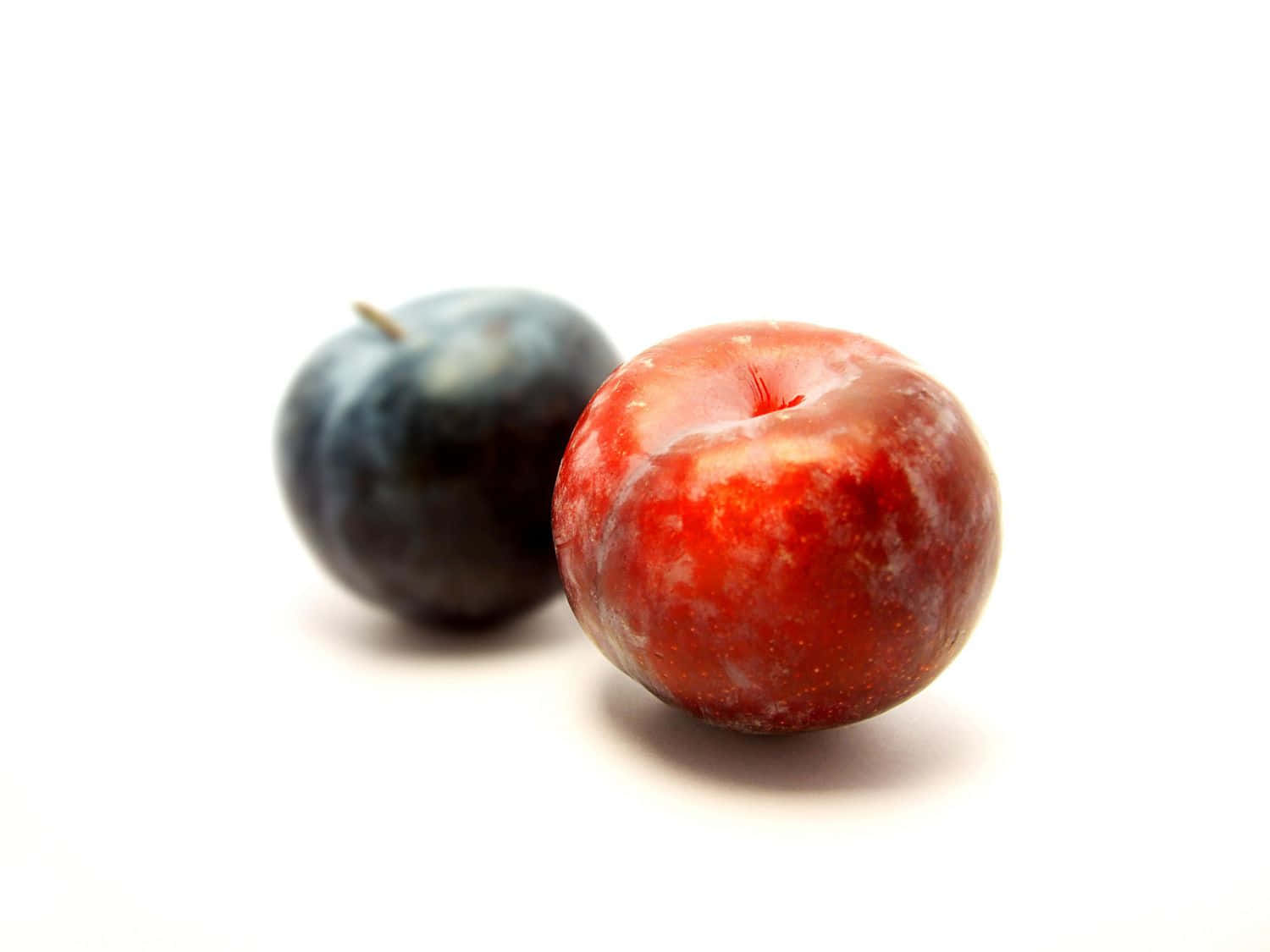 Red Plum 桌布 壁紙 — 一個鮮紅色的李子和一個深藍色的李子，在純白色背景上以柔焦效果呈現。