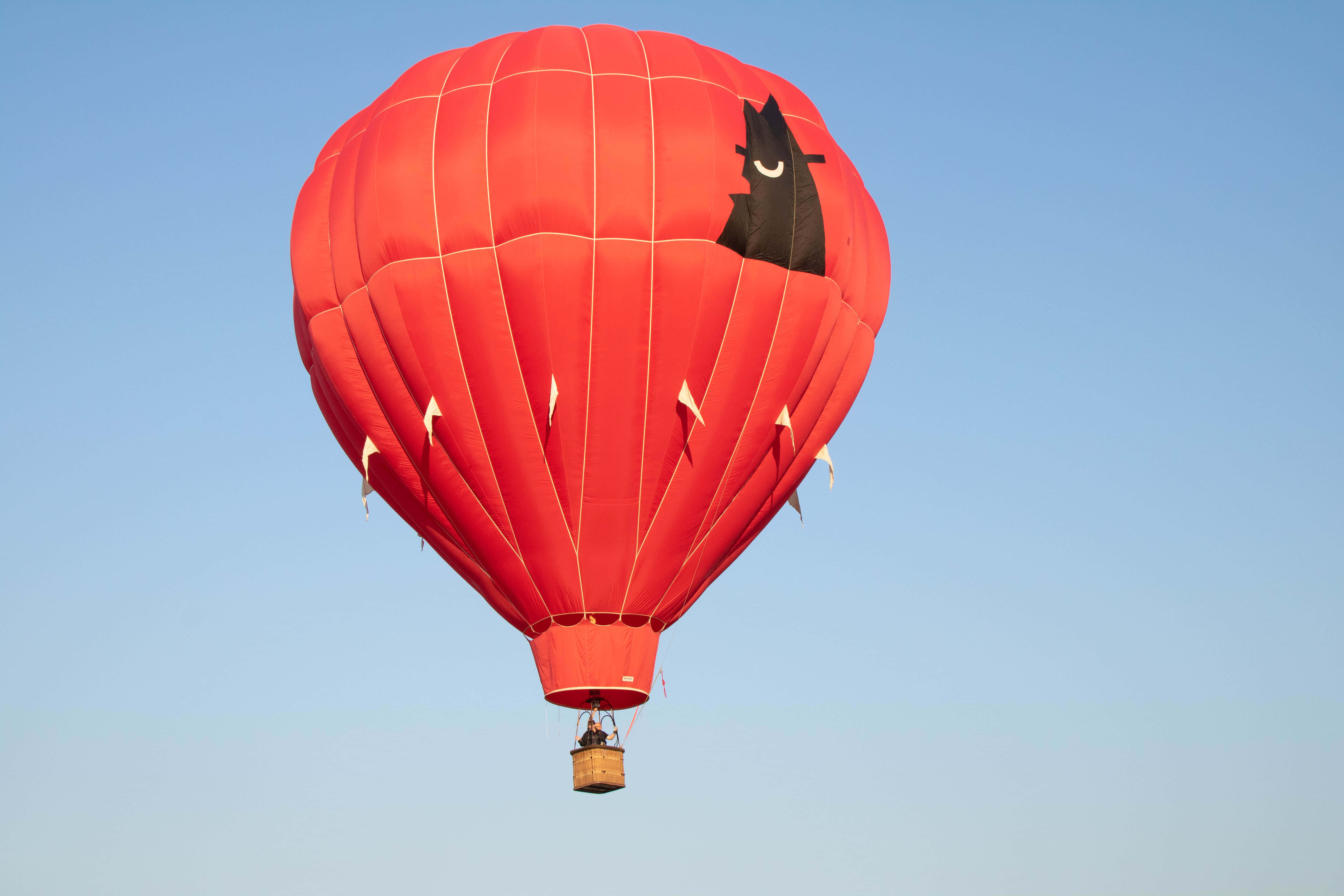 Hot Air Balloon 桌布 壁紙 — 一個鮮紅色的熱氣球，帶有黑色貓臉設計，在清澈的藍天中寧靜地漂浮。