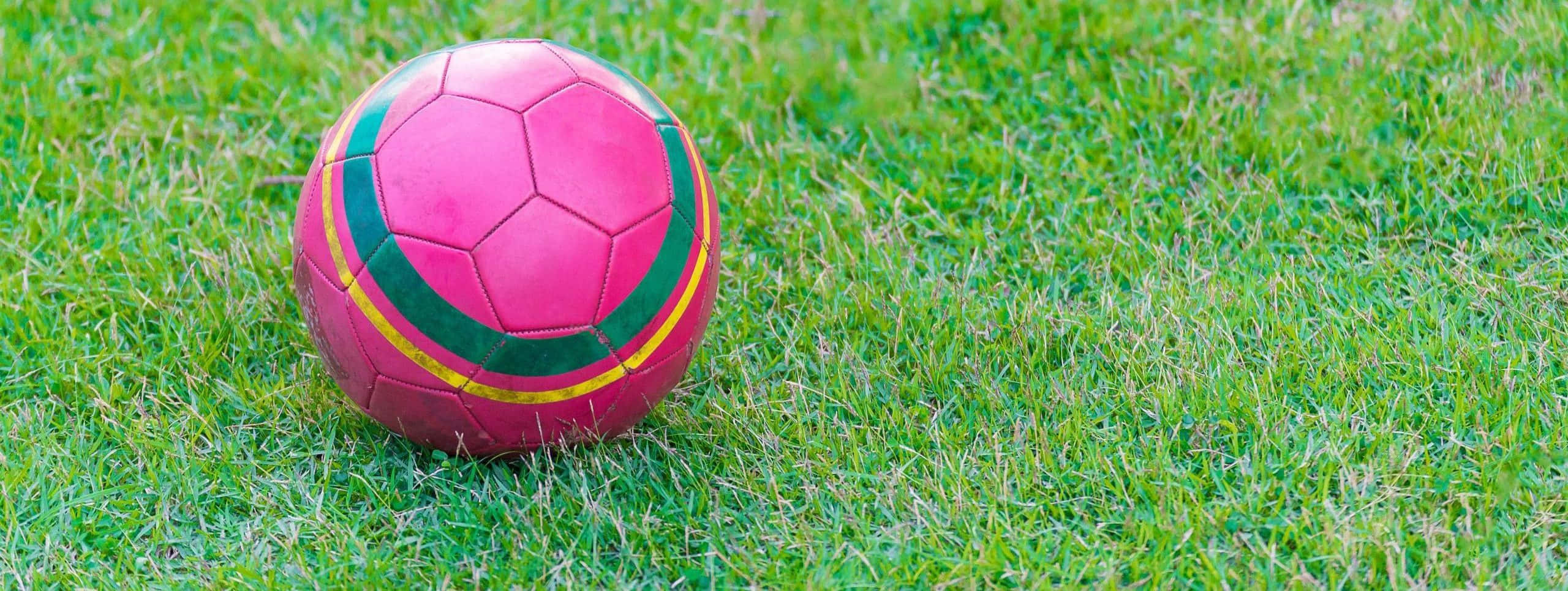Pink Soccer Ball 桌布 壁紙 — 一個鮮豔的粉紅色足球，帶有綠色和黃色條紋，放在茂盛的綠色草地上，在明亮的日光下。