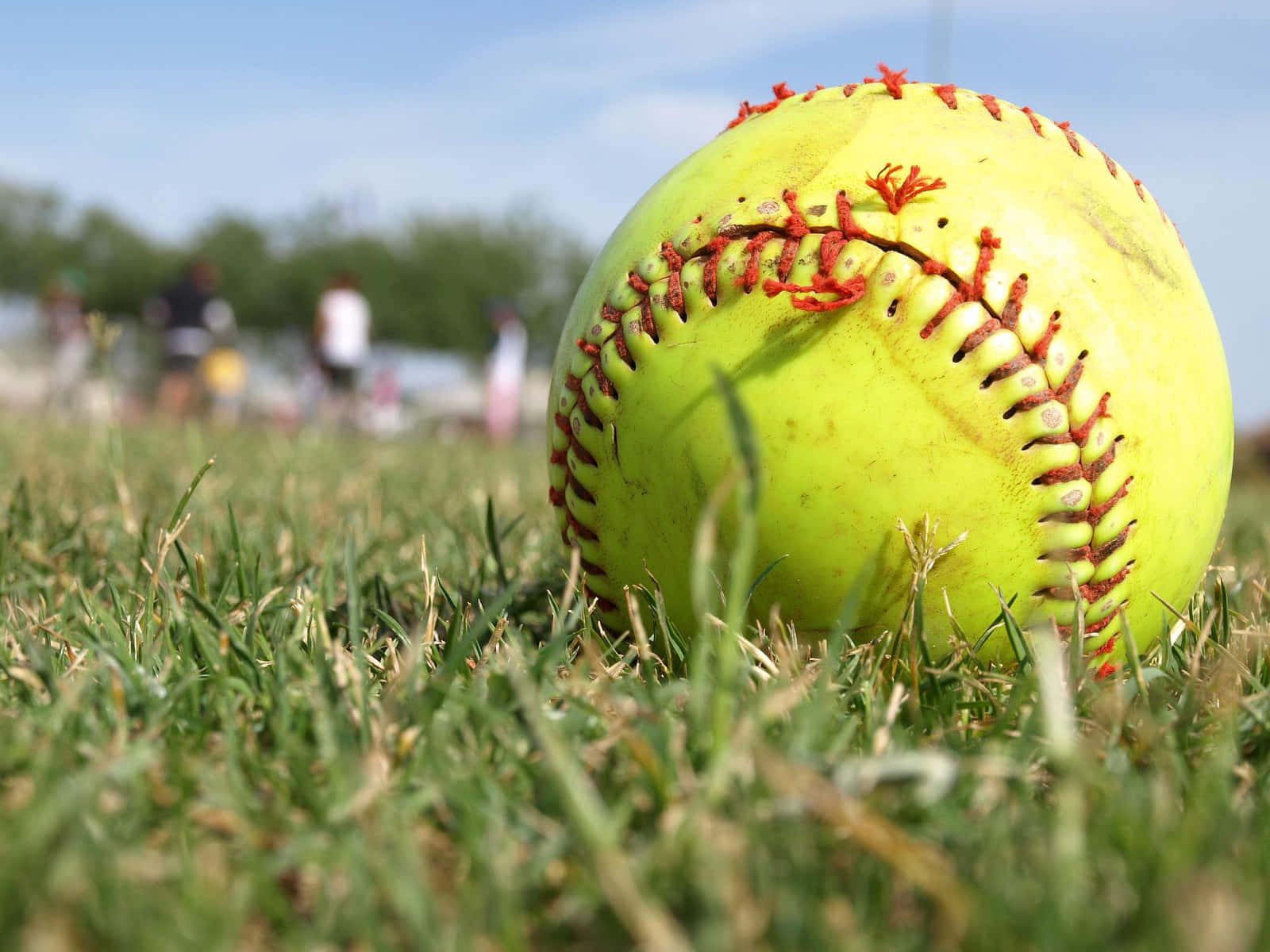 Softball 桌布 壁紙 — 一個鮮黃色帶紅色縫線的壘球，在模糊球員的背景襯托下，躺在晴朗藍天下的綠色草地上。