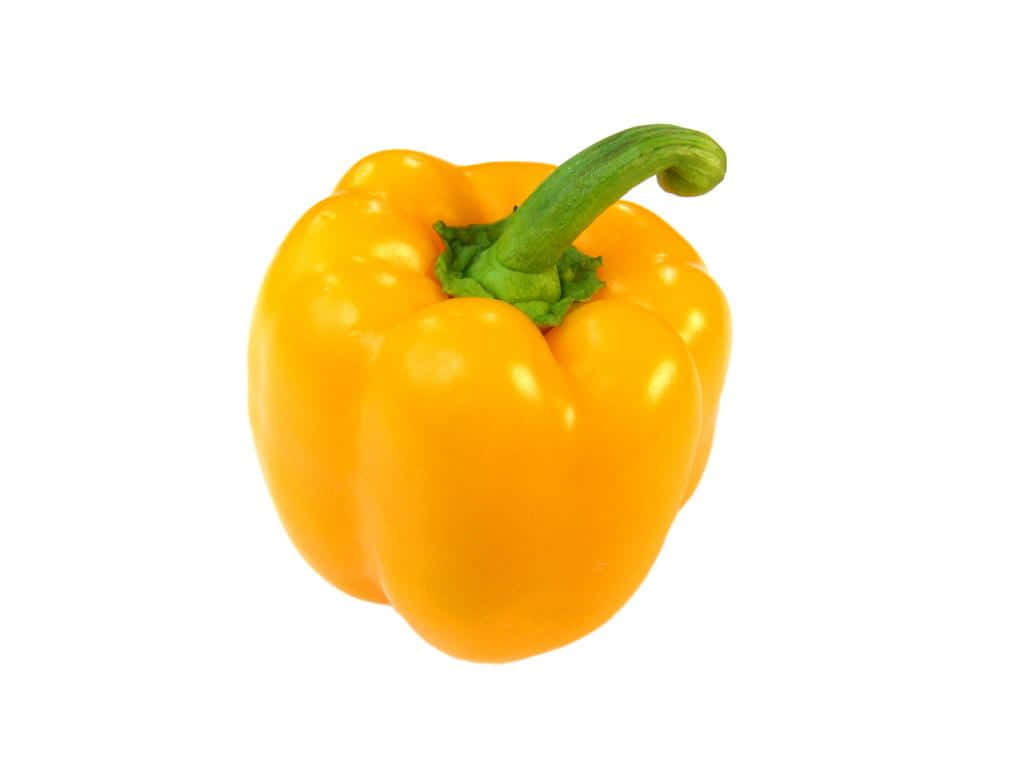 Yellow Bell Pepper 桌布 壁紙 — 一個鮮黃色的燈籠椒，帶有彎曲的綠色莖，孤立在純白色背景上。