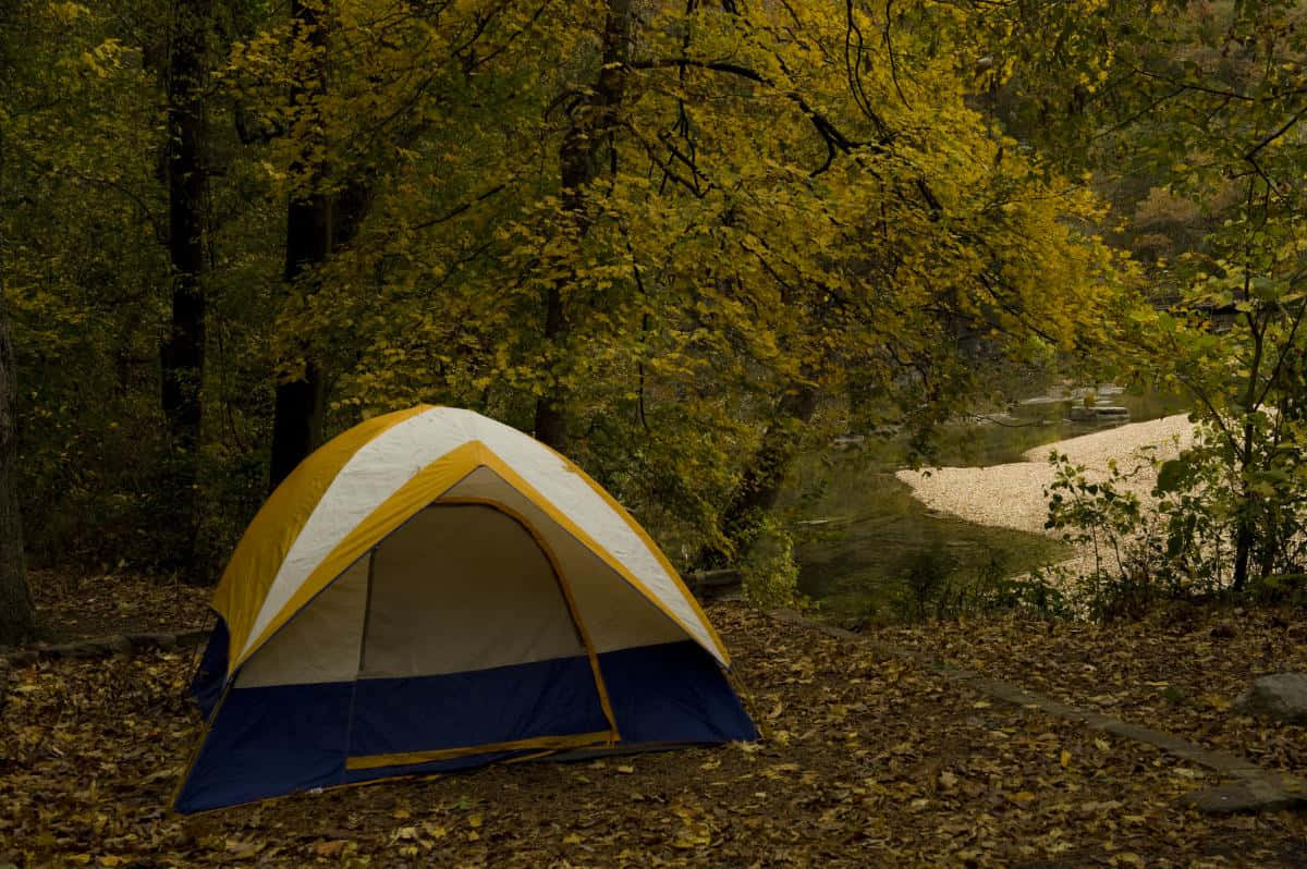 Fall Camping 桌布 壁紙 — 一個黃、白、藍色的帳篷坐落在寧靜森林溪流旁的金色秋葉之中。