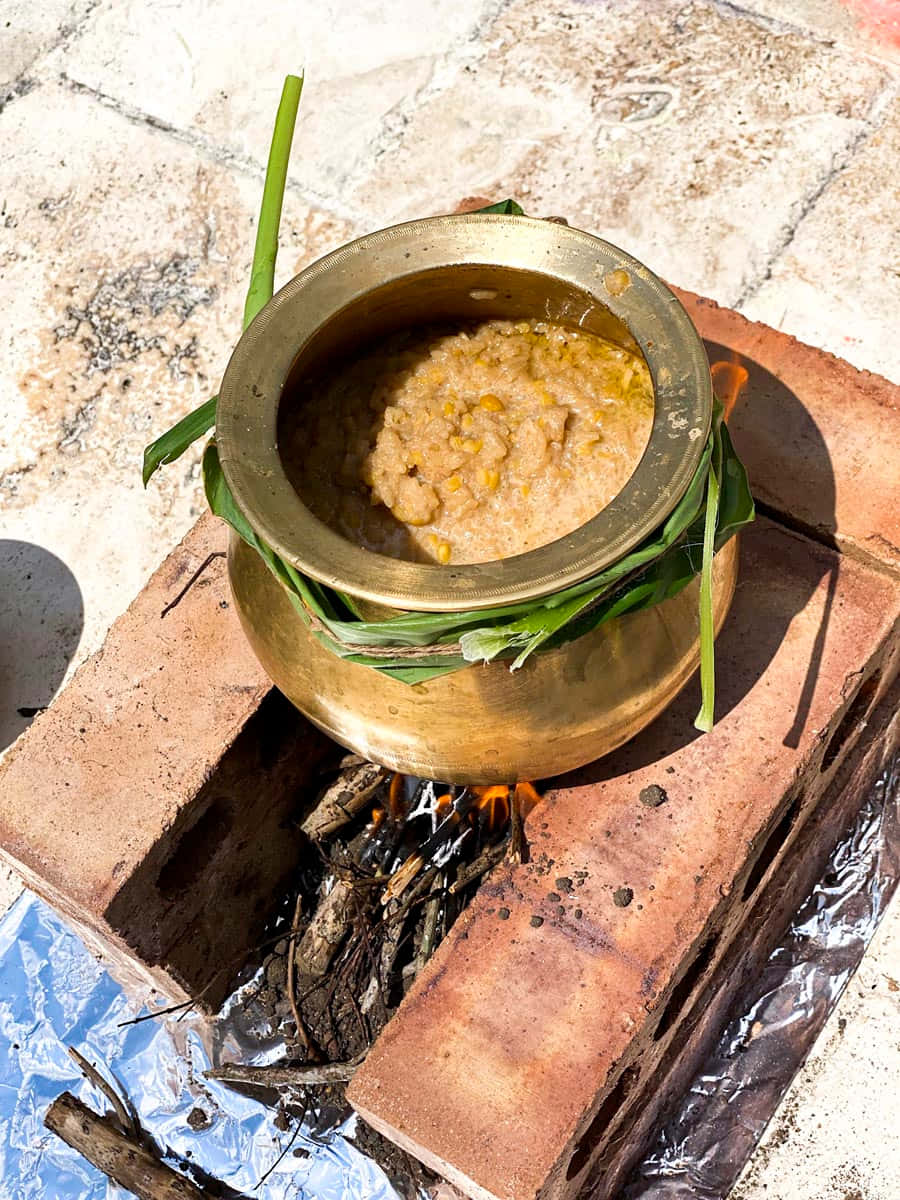 Pongal 桌布 壁紙 — 一個黃銅鍋裝滿了正在慢煮的黃扁豆咖喱，擱在石頭露台上的磚塊上，下面是用木柴生的明火。