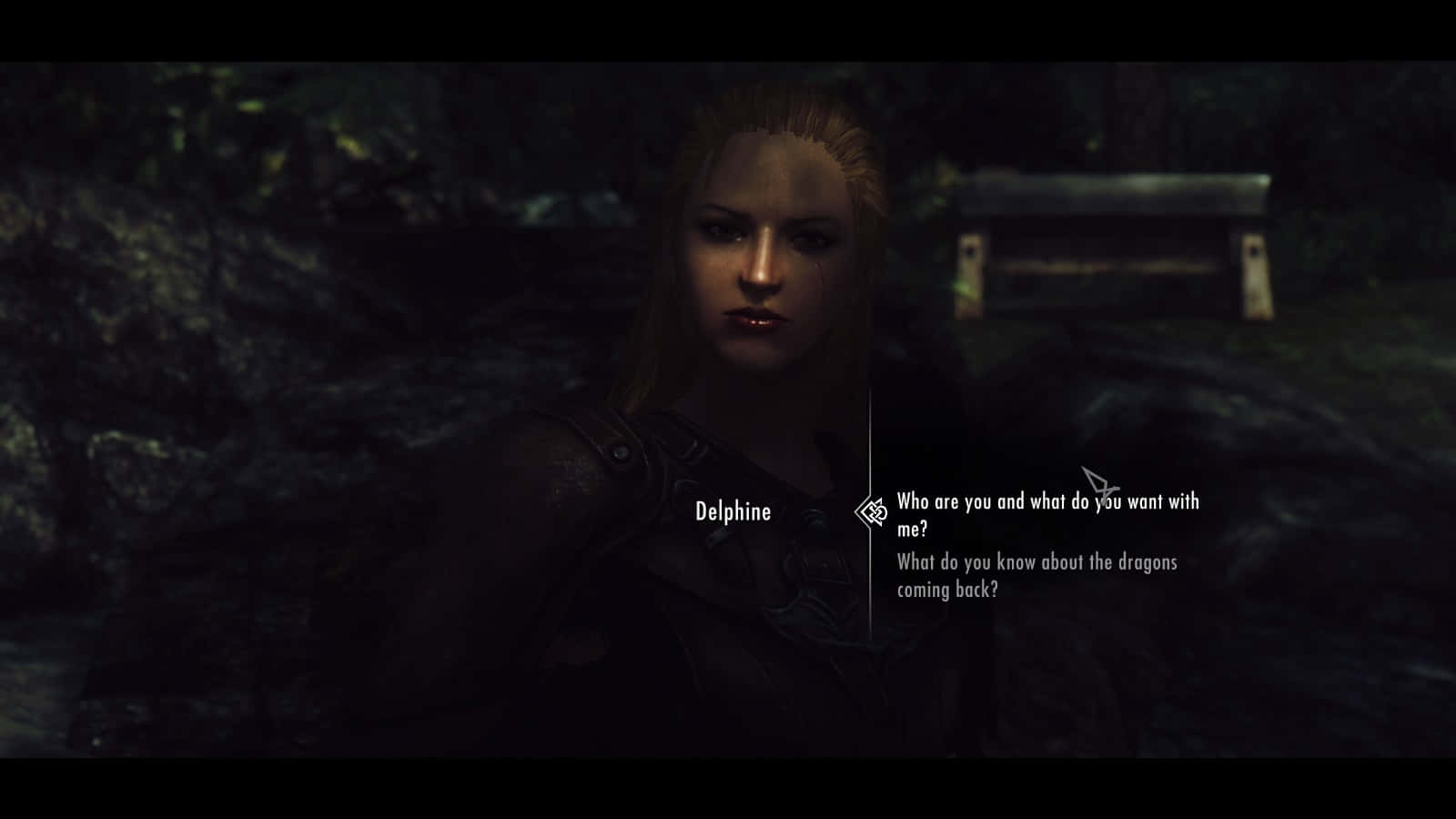 Skyrim Delphine 桌布 壁紙 — 一個黑暗森林場景，有一個名為Delphine的角色在電子遊戲介面中詢問有關龍的問題。