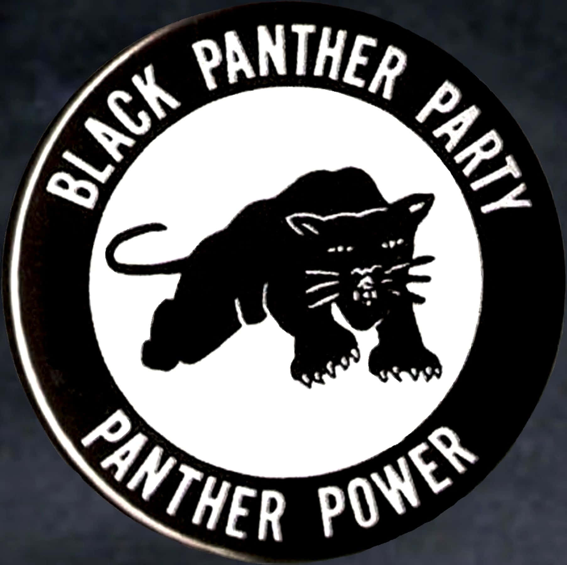 Black Panther Party 桌布 壁紙 — 一個黑白圓形襟章的近距離特寫，上面有黑色美洲豹剪影，邊緣環繞著「BLACK PANTHER PARTY」和「PANTHER POWER」文字。